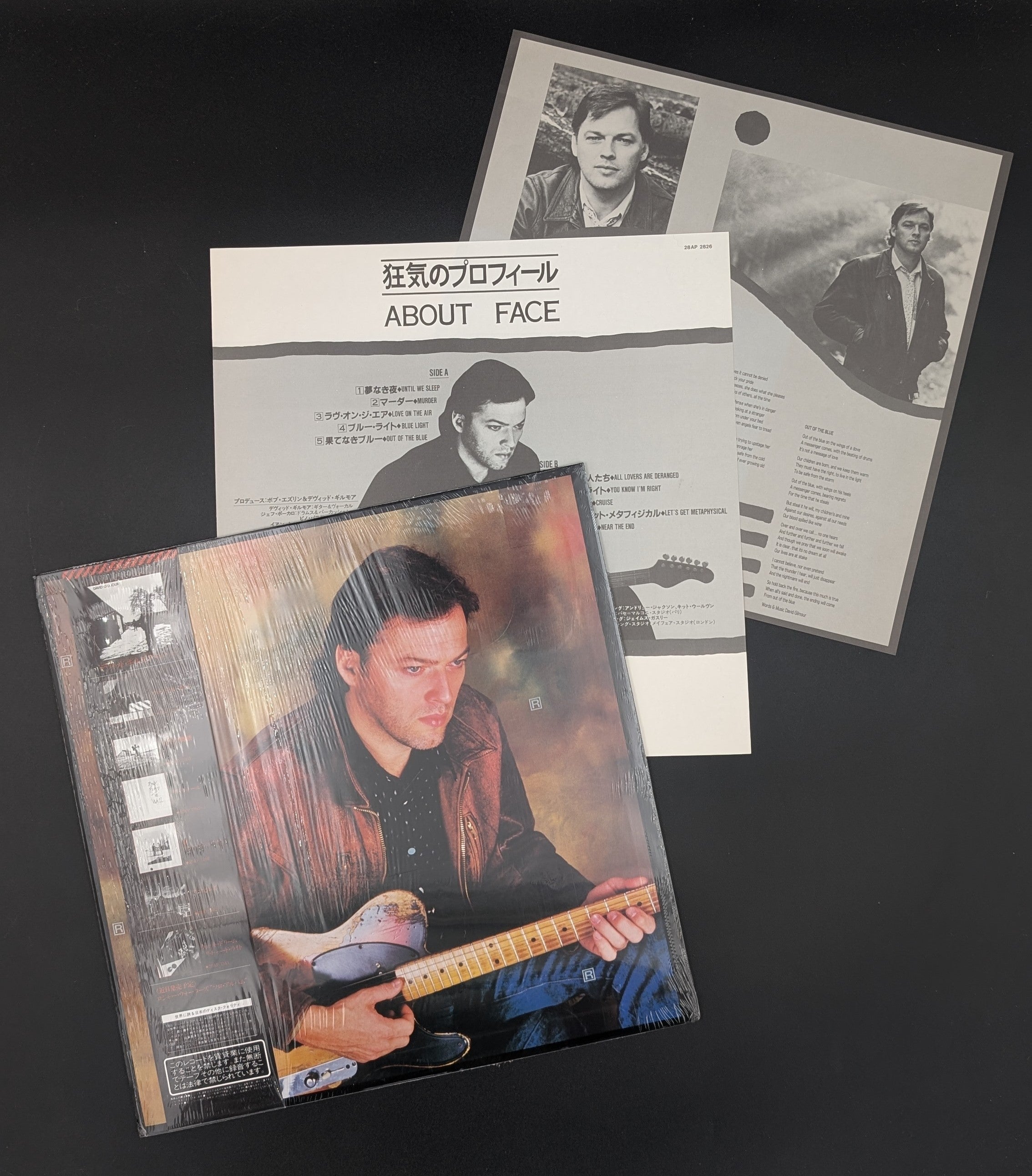 David Gilmour - About Face