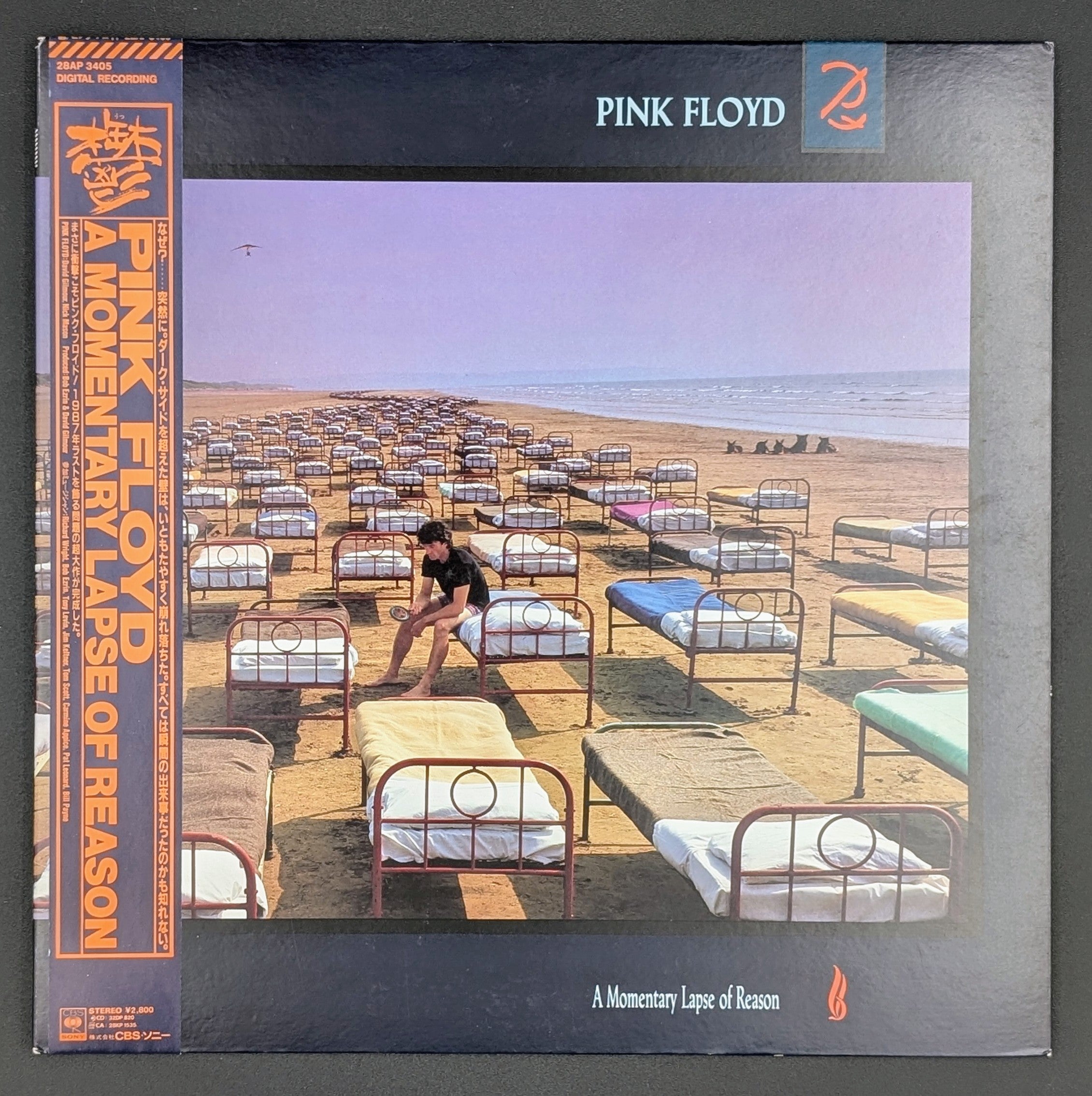Pink Floyd - A Momentary Lapse Of Reason  鬱