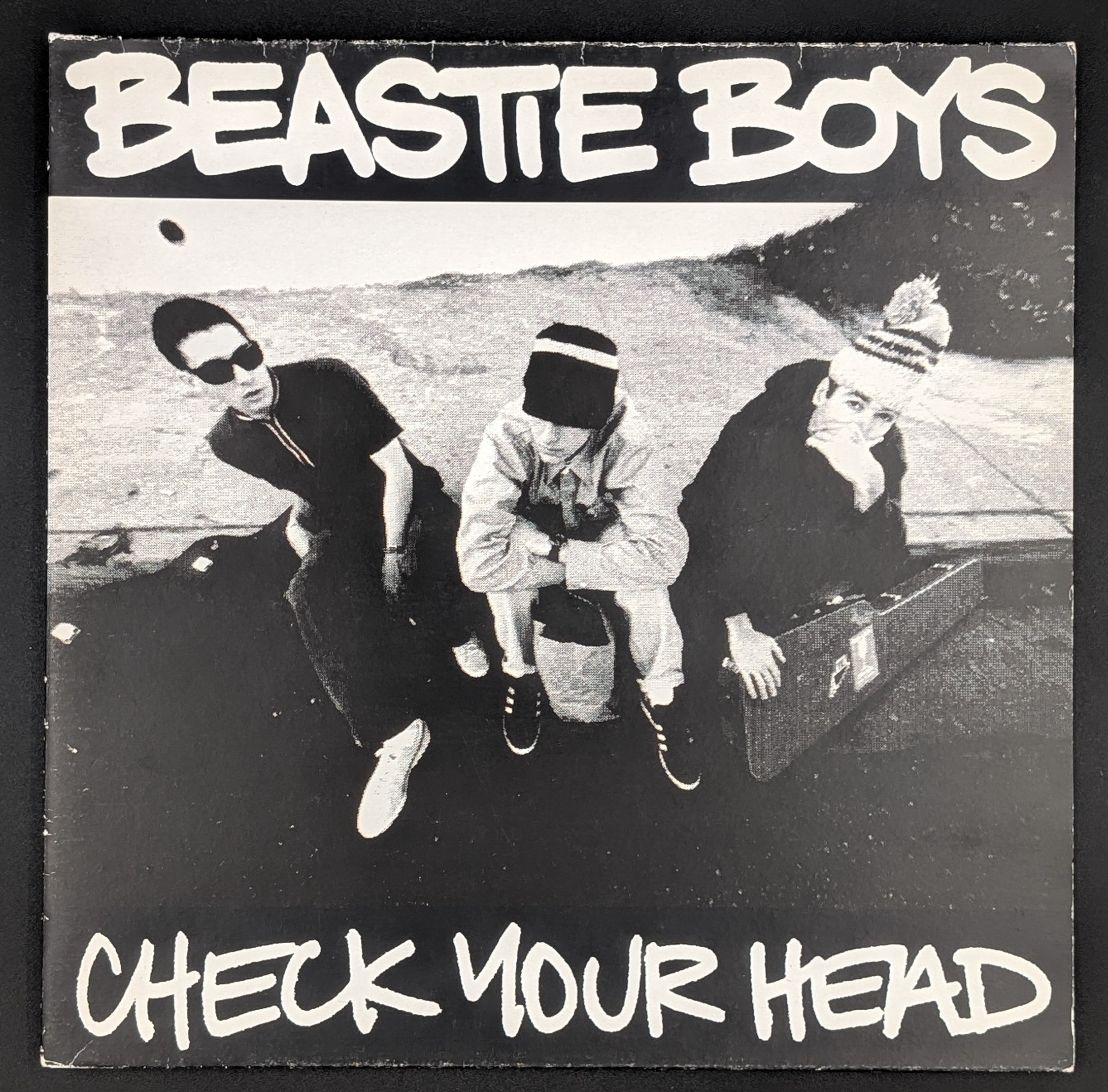 Beastie Boys - Check Your Head