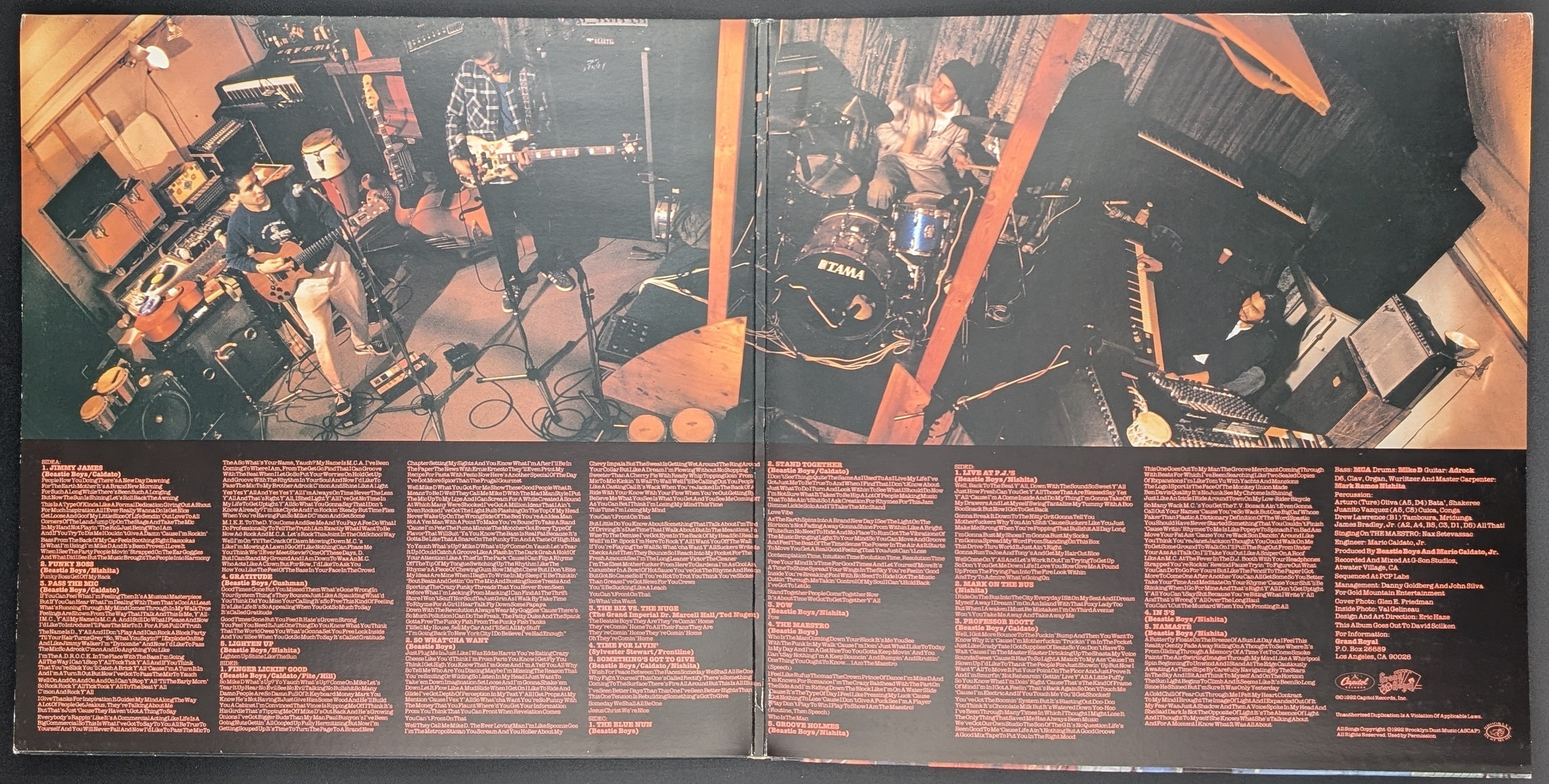 Beastie Boys - Check Your Head