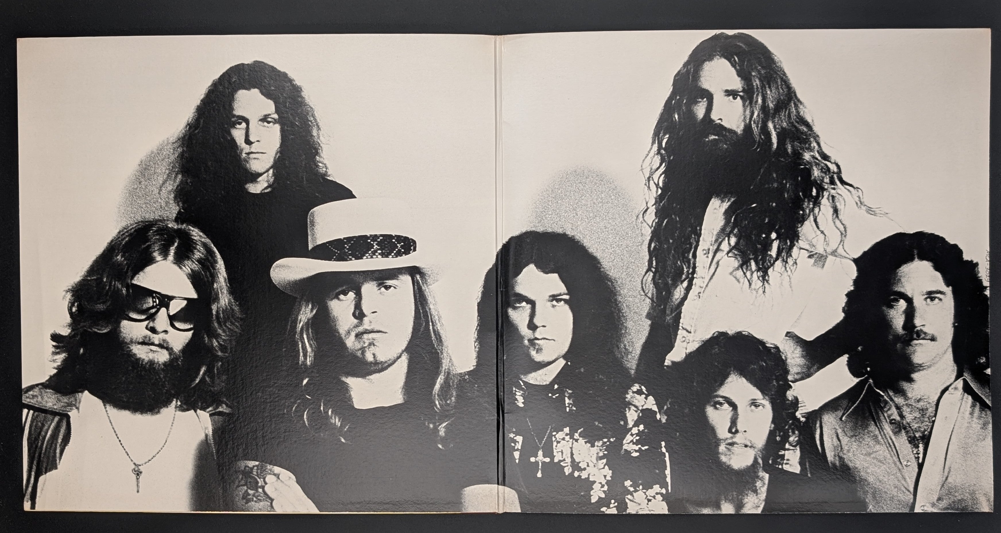 Lynyrd Skynyrd - Street Survivors