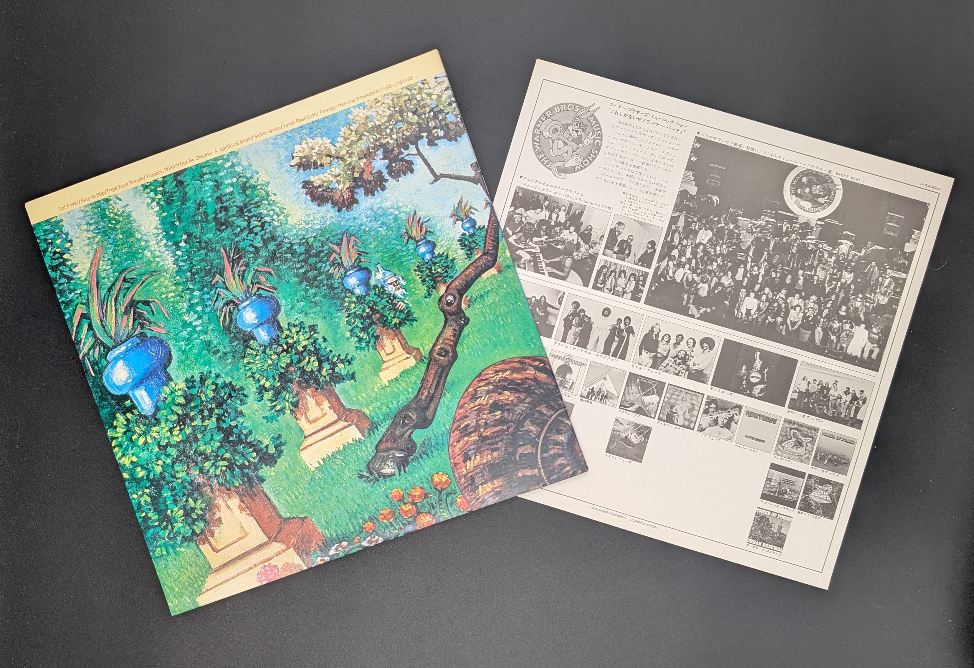 Little Feat - Sailin' Shoes