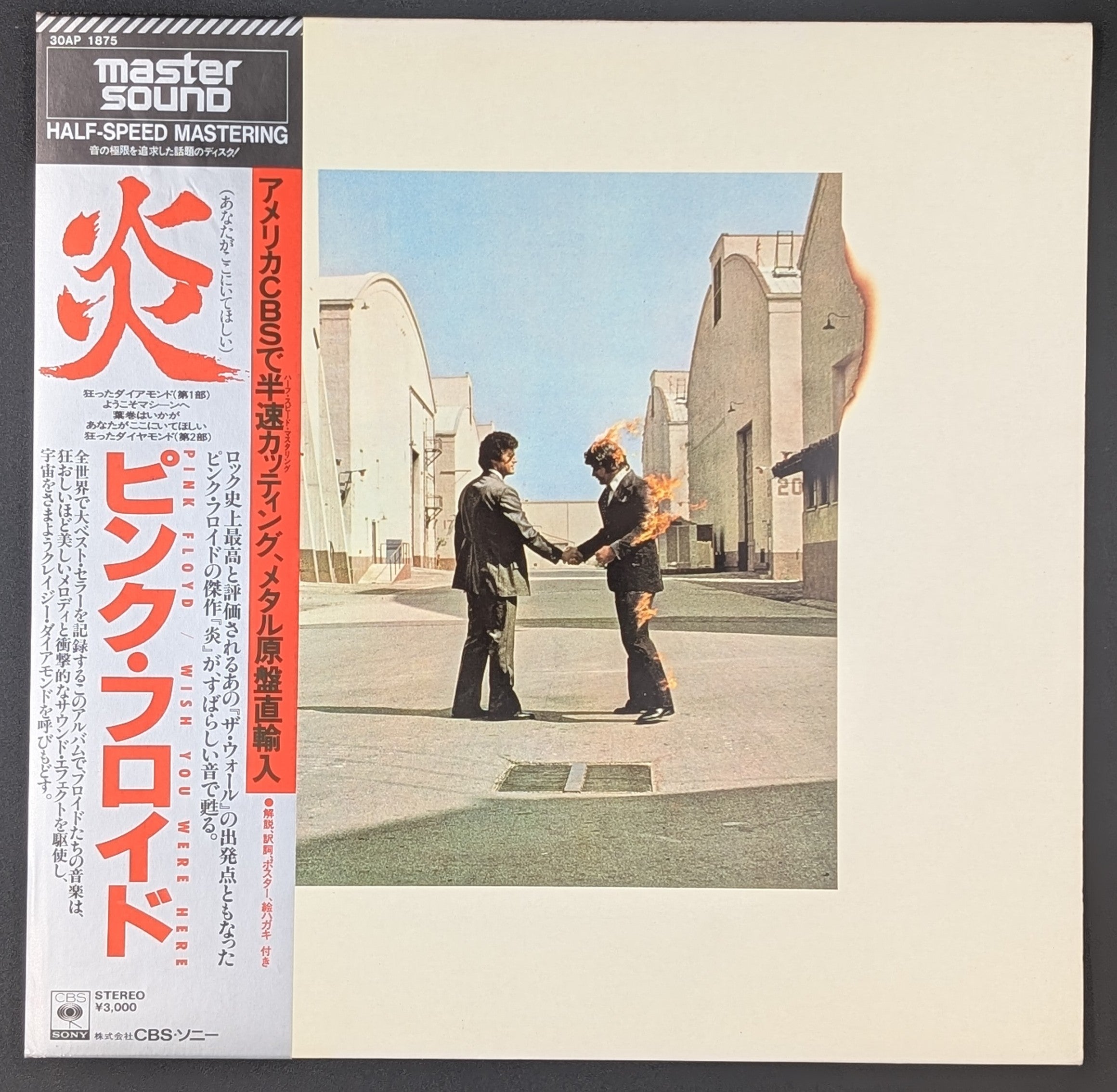 Pink Floyd - Wish You Were Here  炎 (あなたがここにいてほしい)