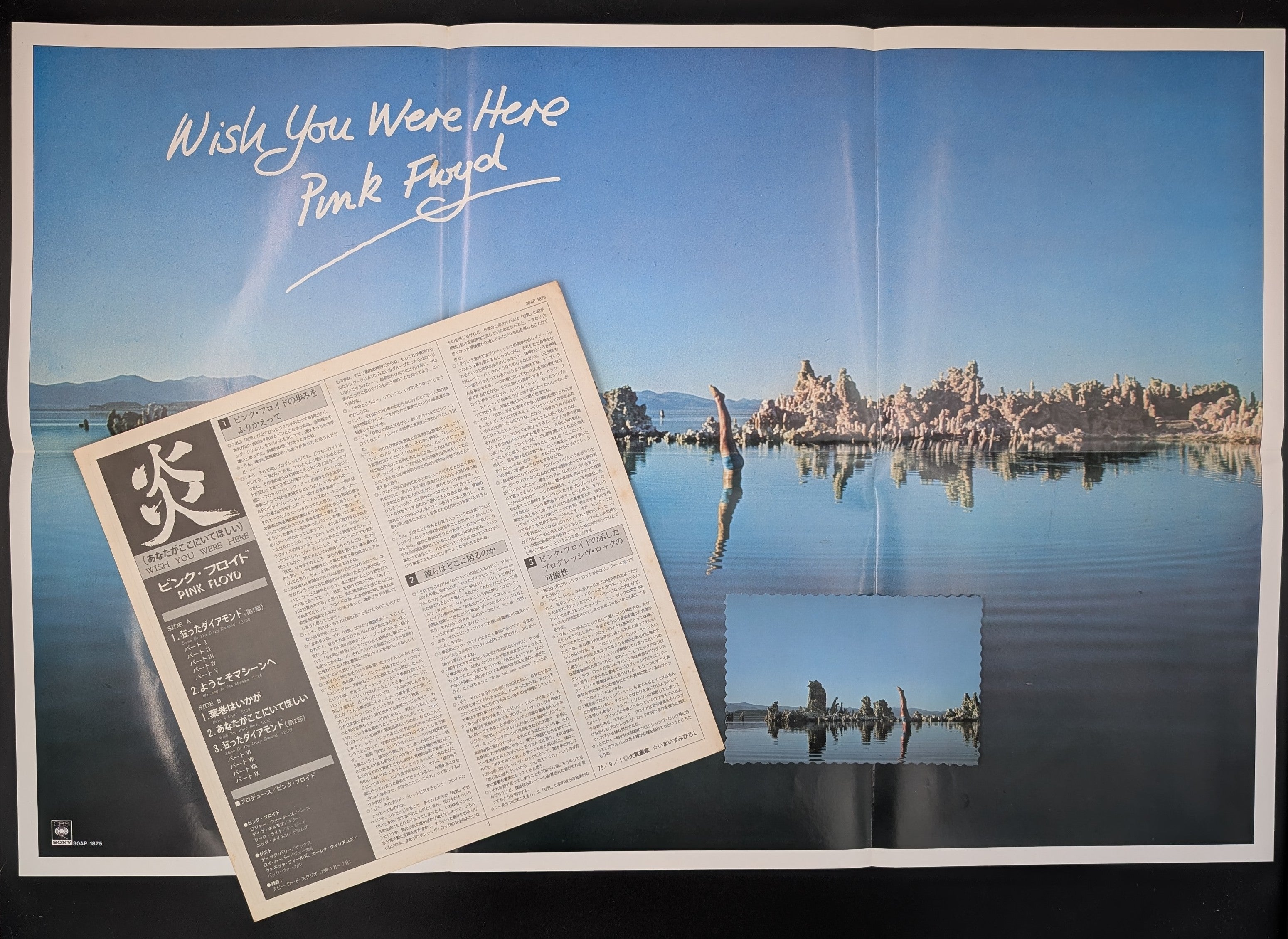 Pink Floyd - Wish You Were Here  炎 (あなたがここにいてほしい)