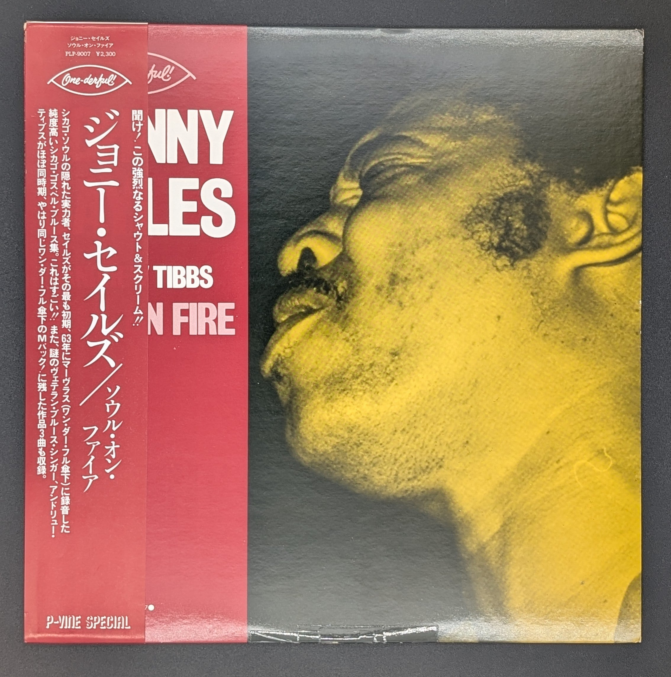 Johnny Sayles & Andrew Tibbs - Soul On Fire