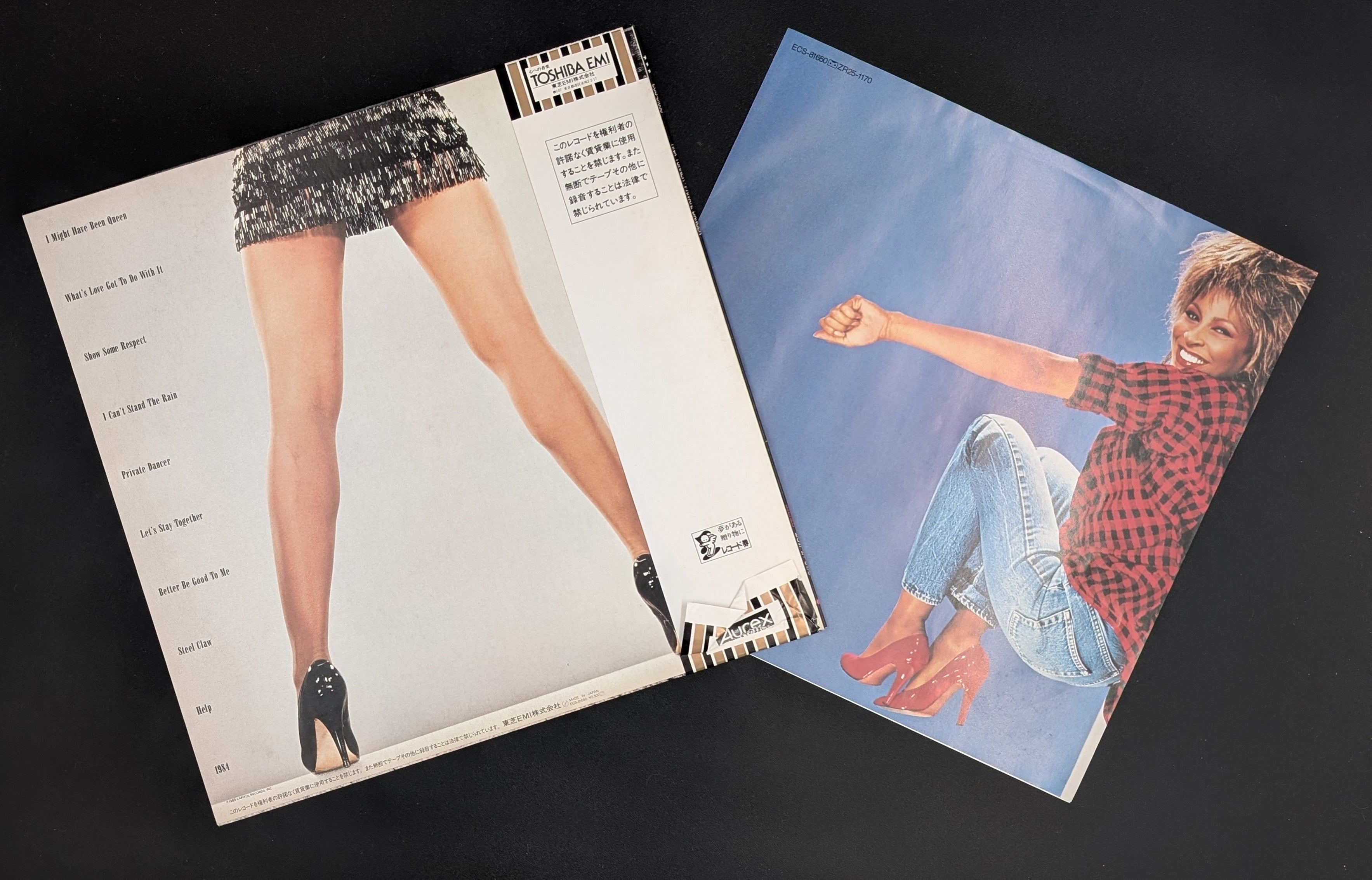 Tina Turner - Private Dancer