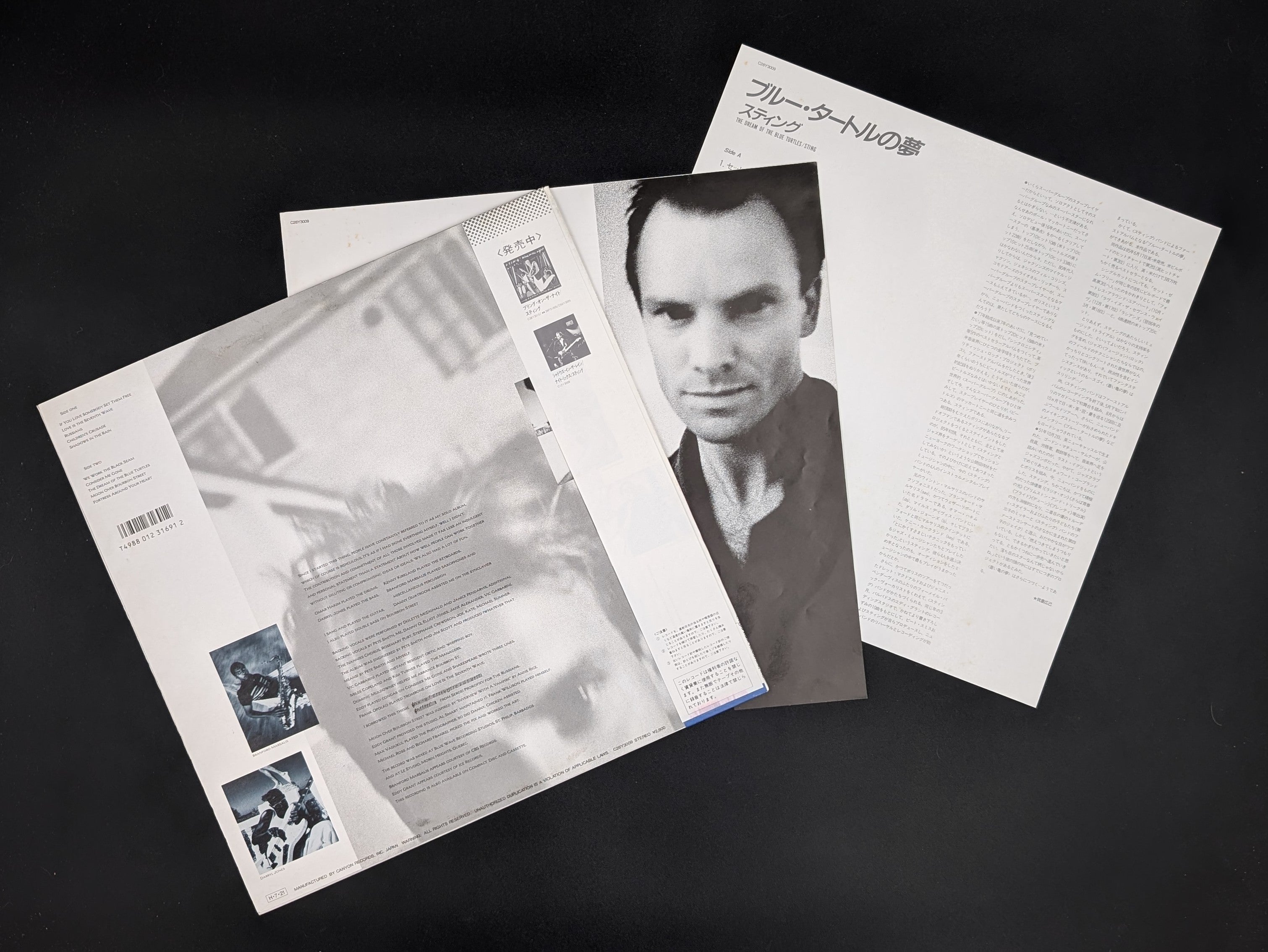 Sting - The Dream Of The Blue Turtles *