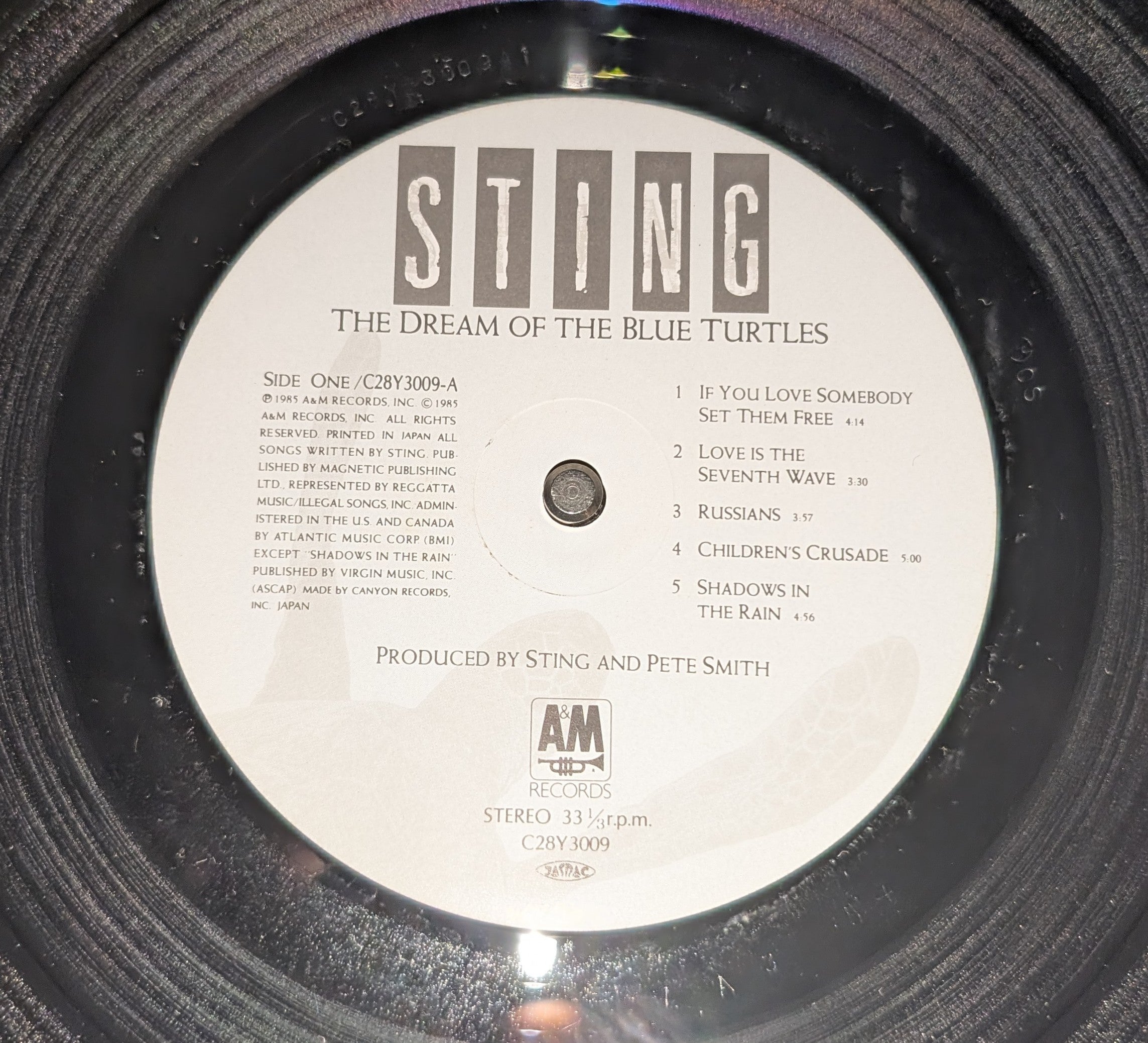 Sting - The Dream Of The Blue Turtles