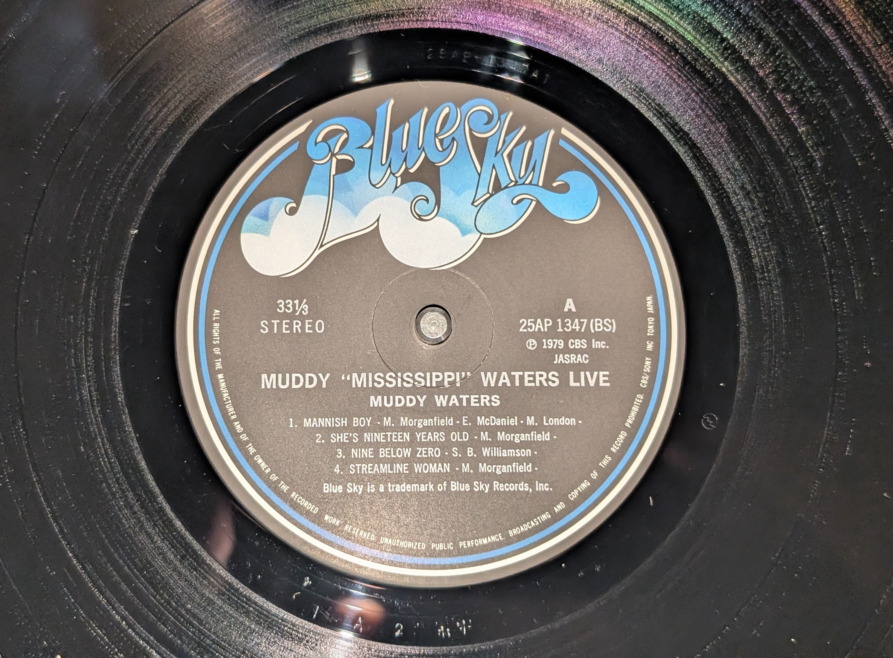 Muddy Waters - Muddy "Mississippi" Waters Live