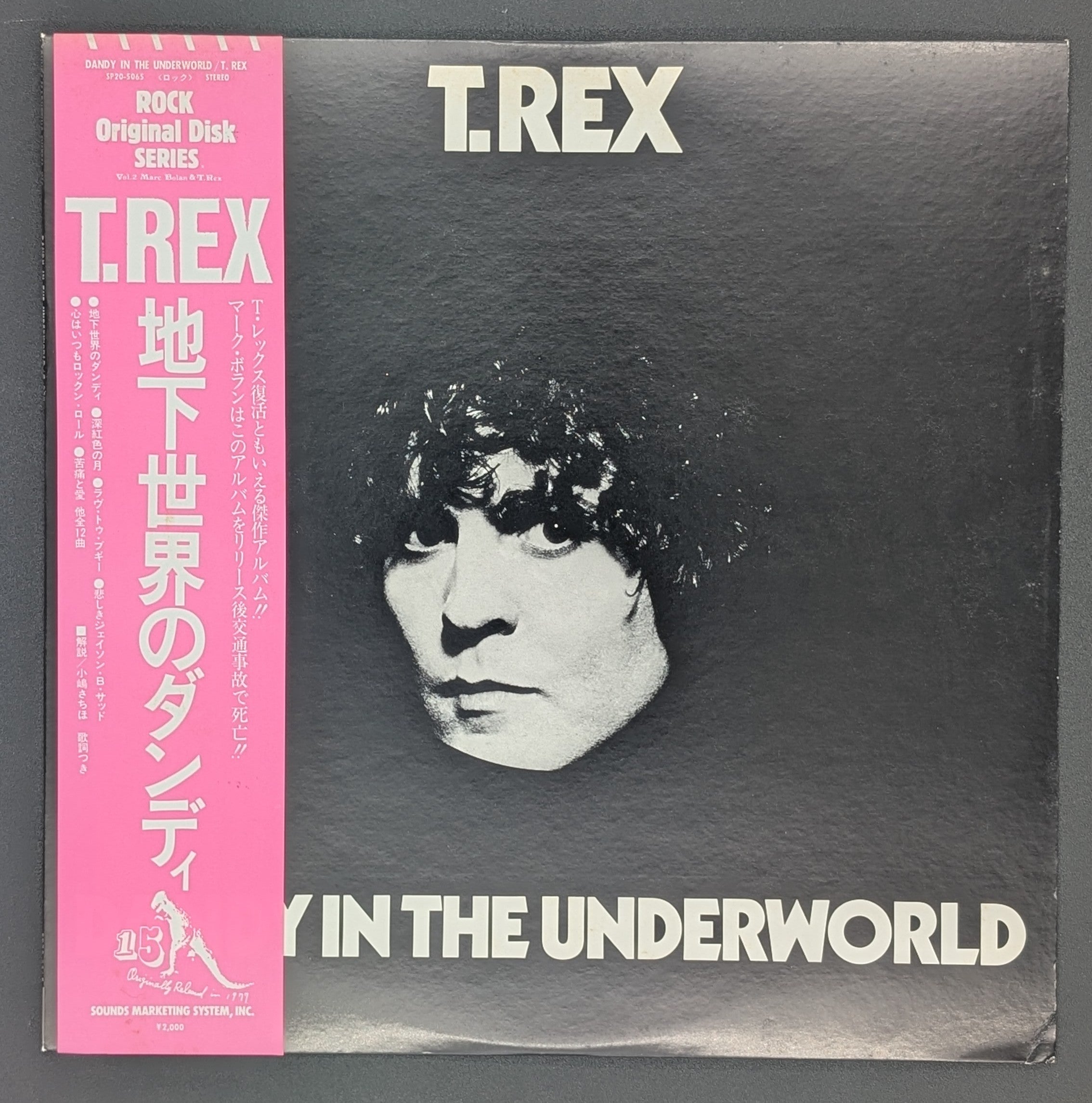 T. Rex - Dandy In The Underworld