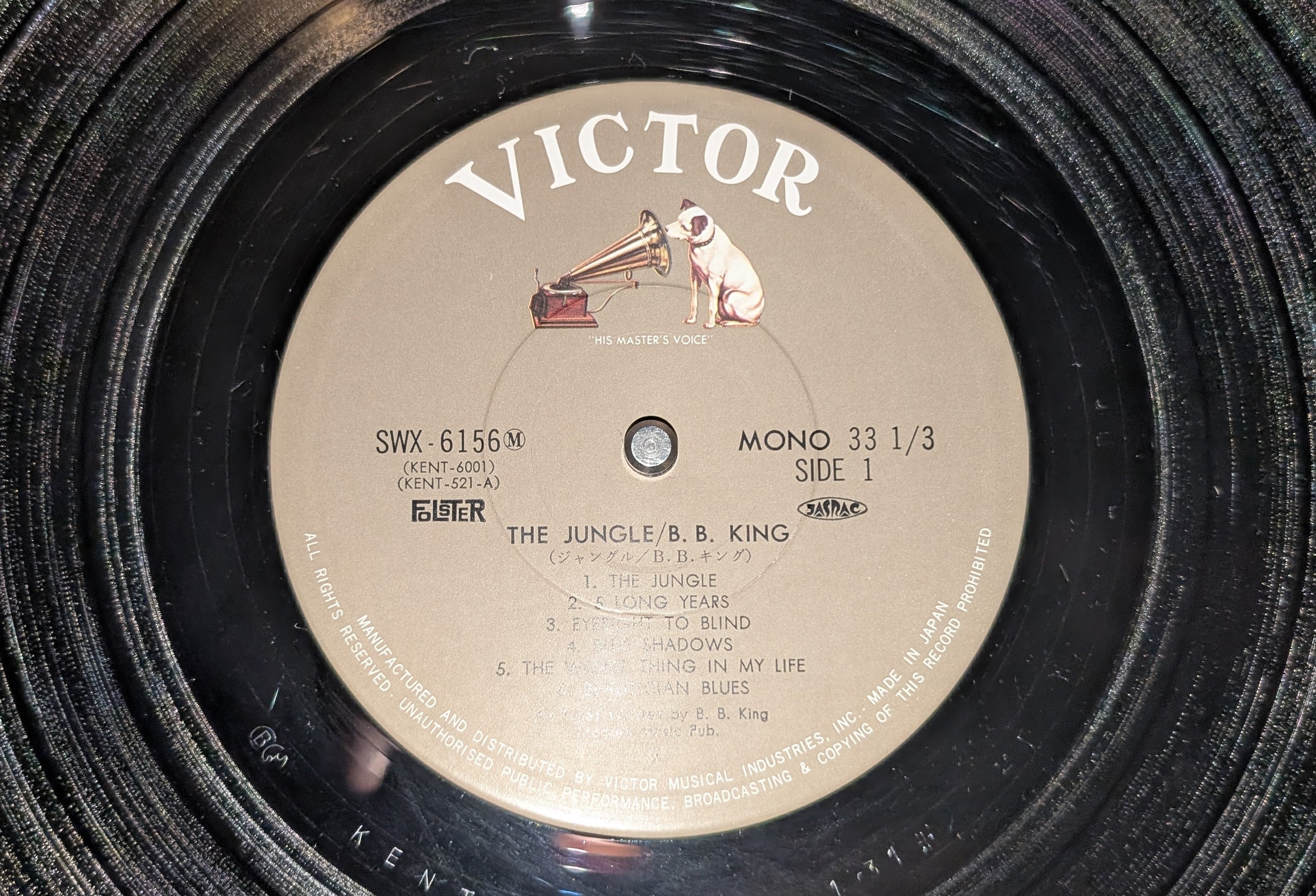 B.B. King - The Jungle