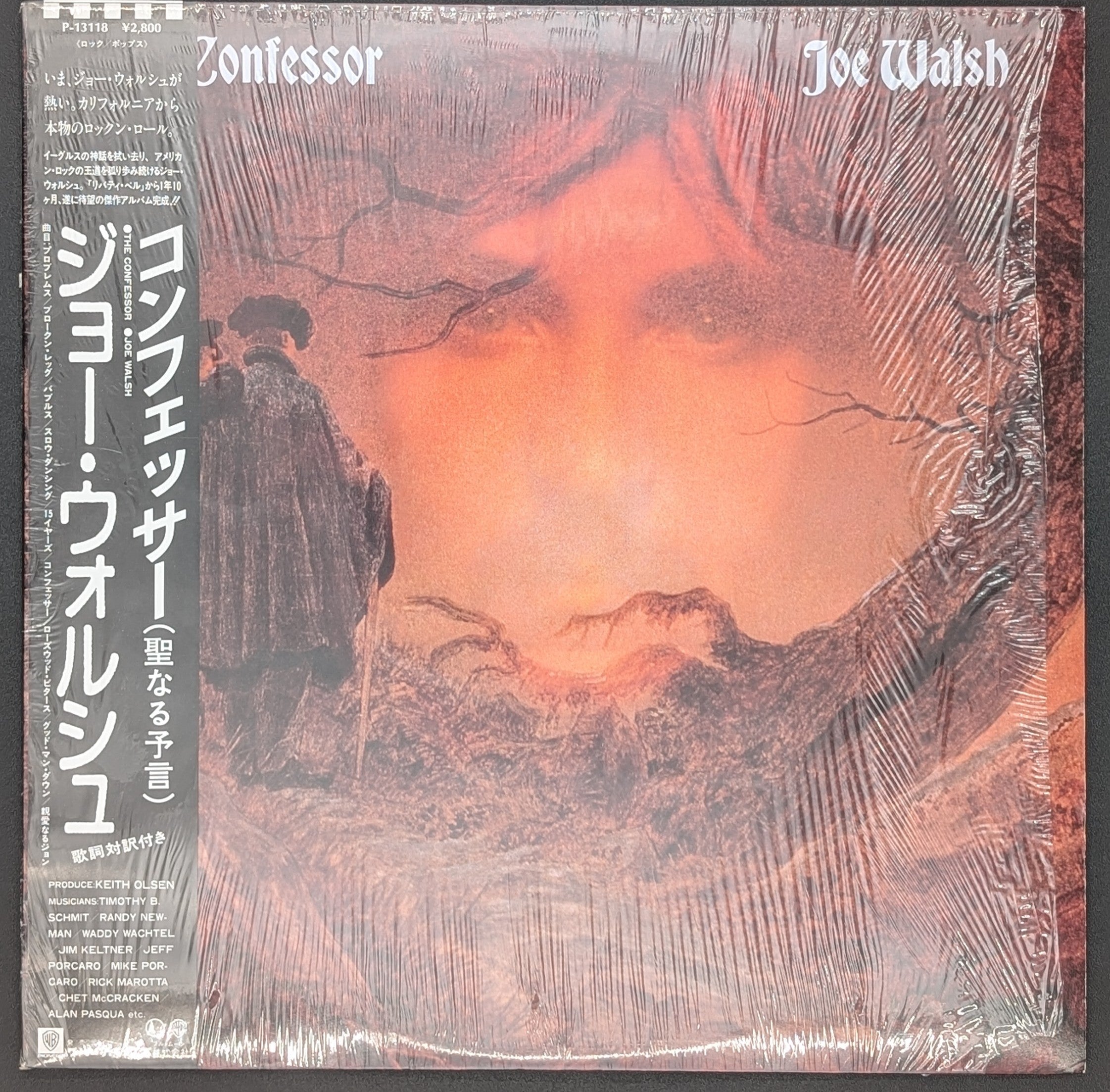 Joe Walsh - The Confessor