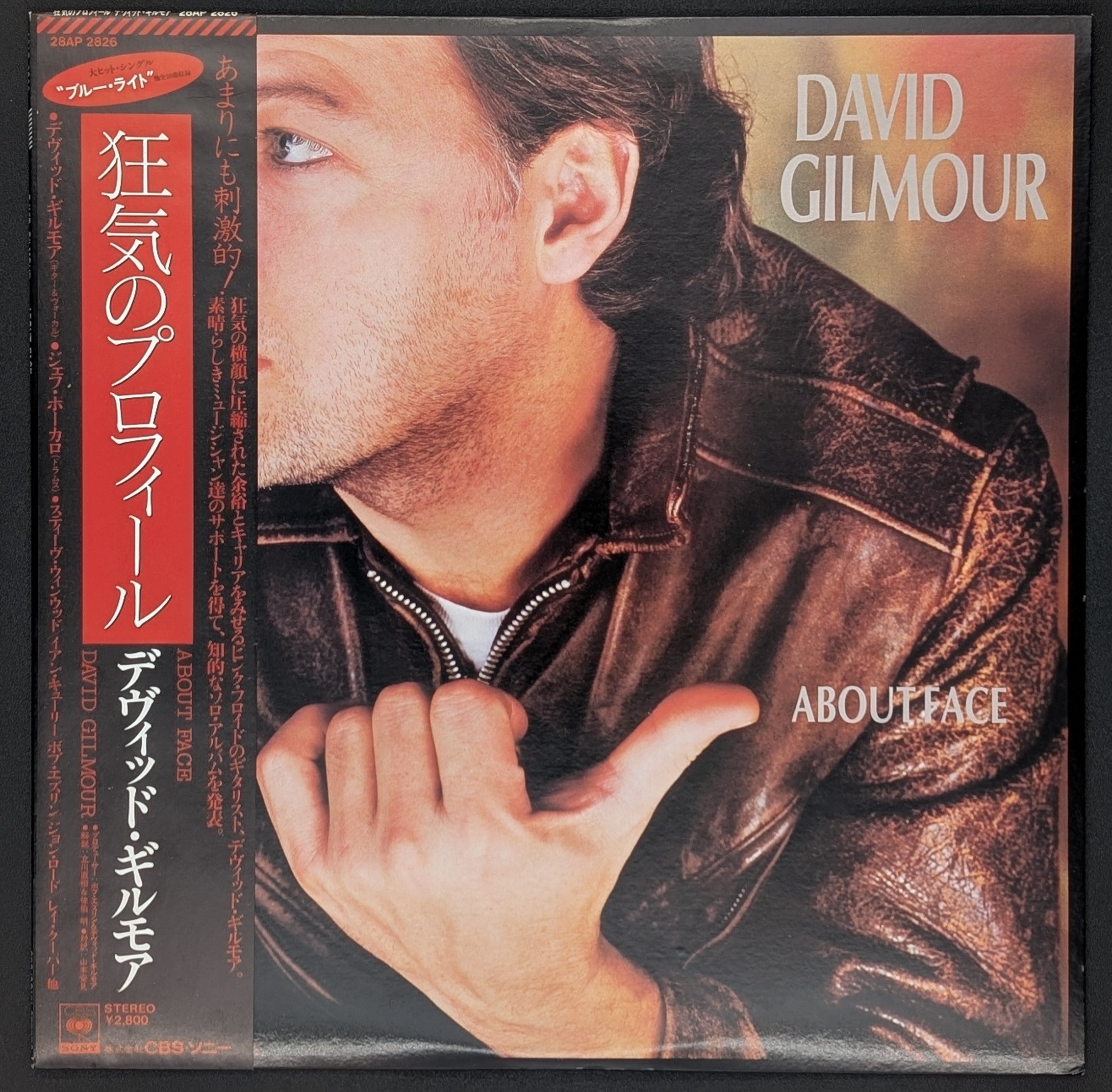 David Gilmour - About Face