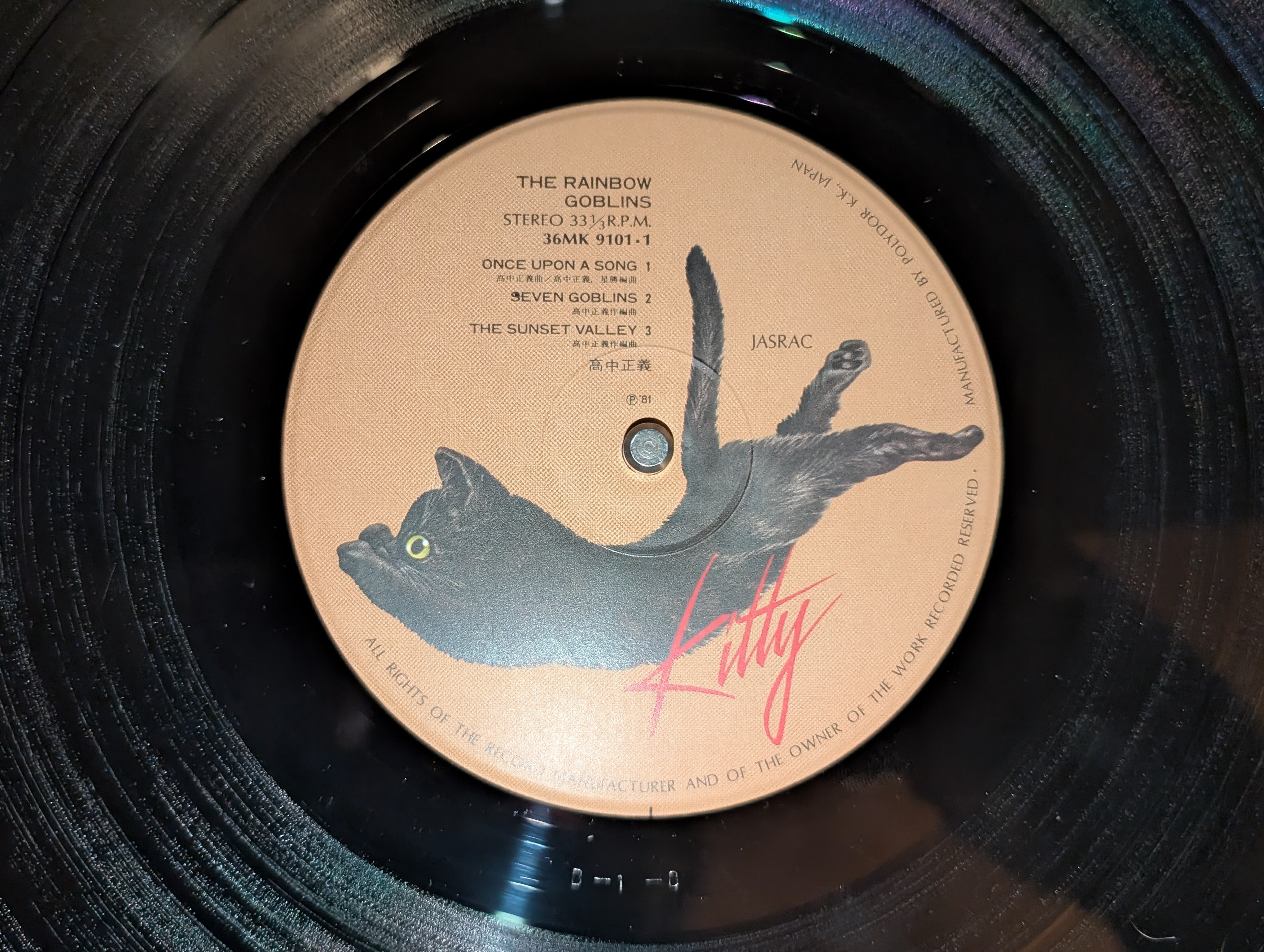 Masayoshi Takanaka - The Rainbow Goblins