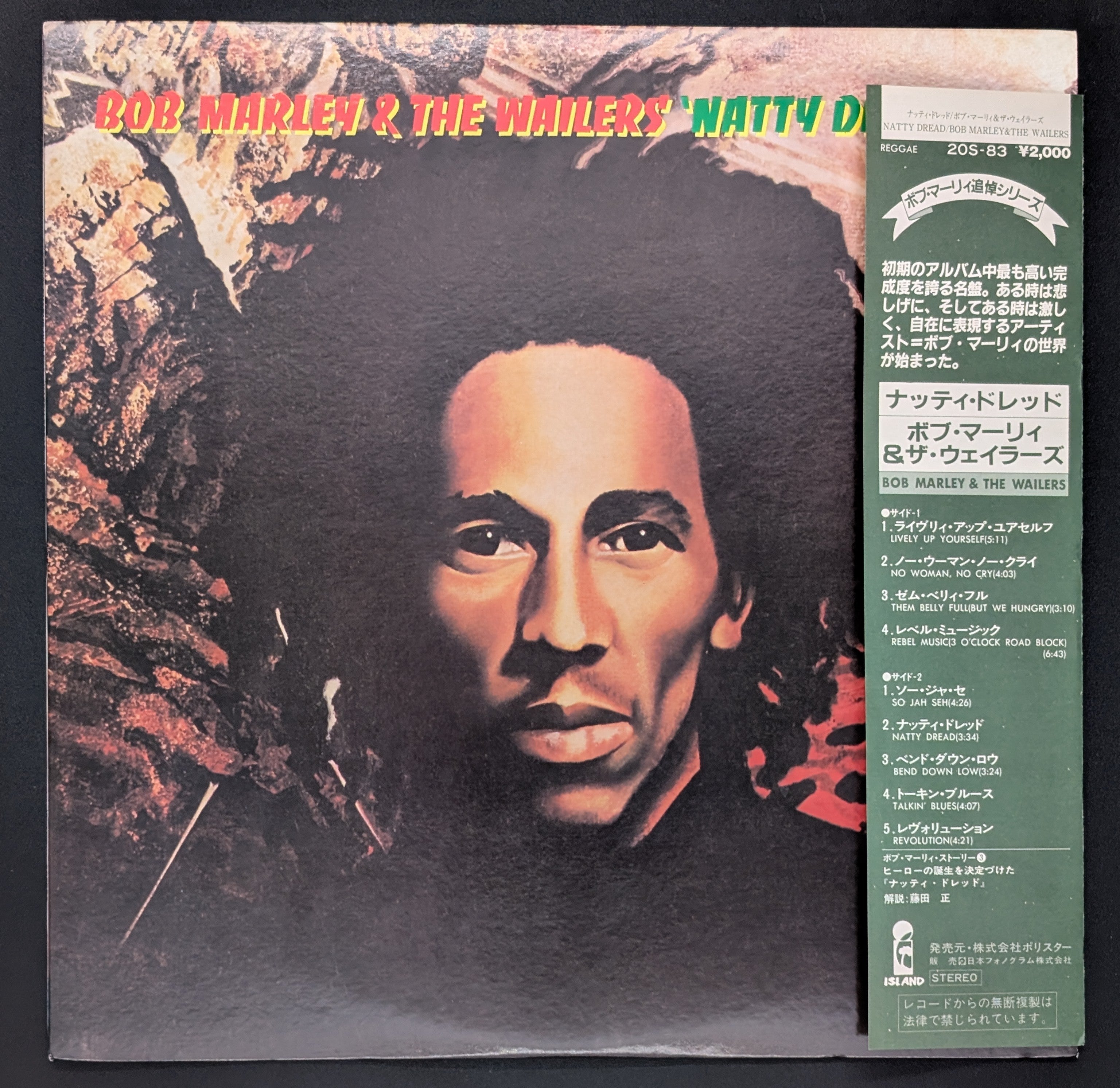 Bob Marley & The Wailers - Natty Dread