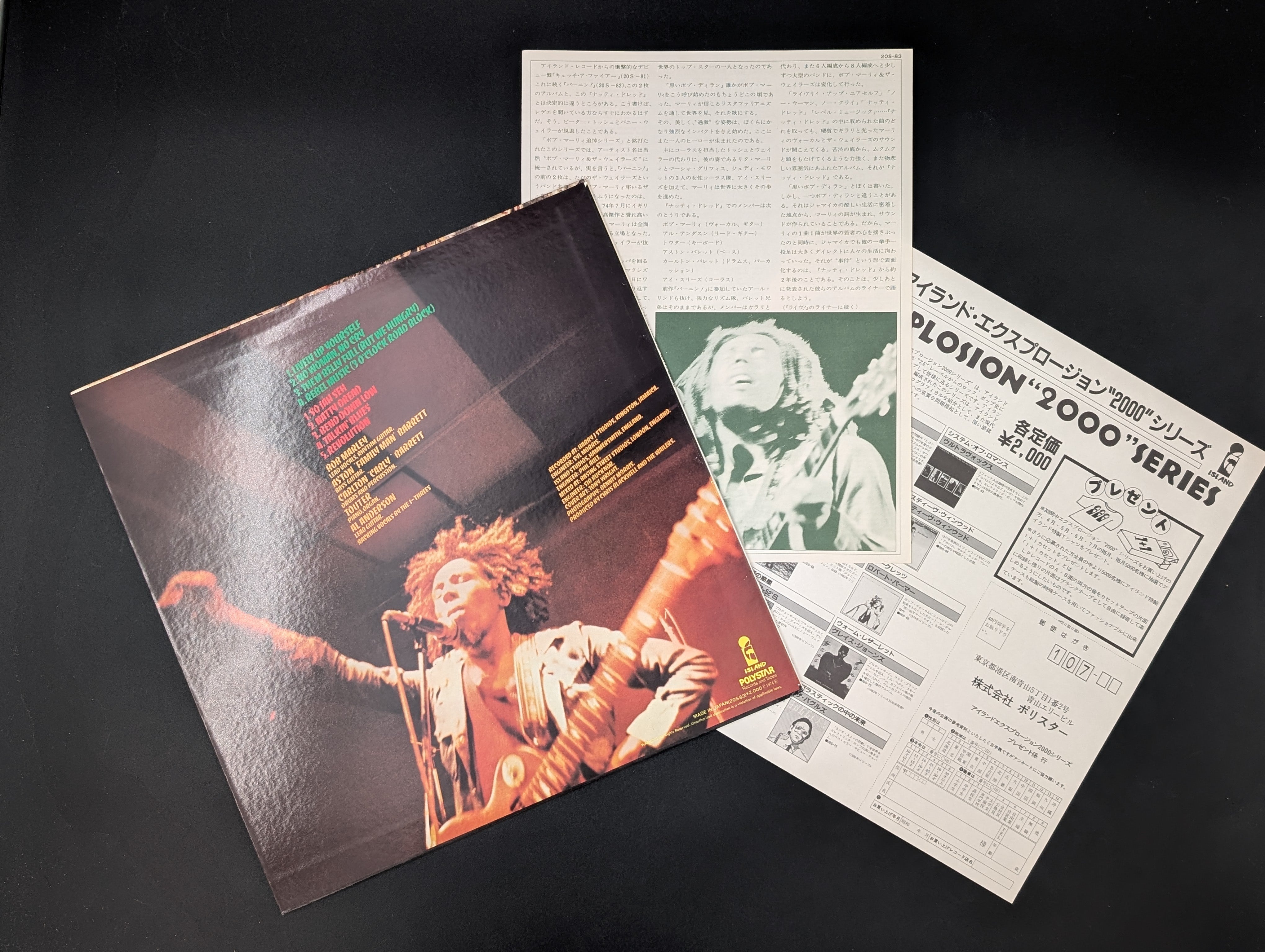 Bob Marley & The Wailers - Natty Dread