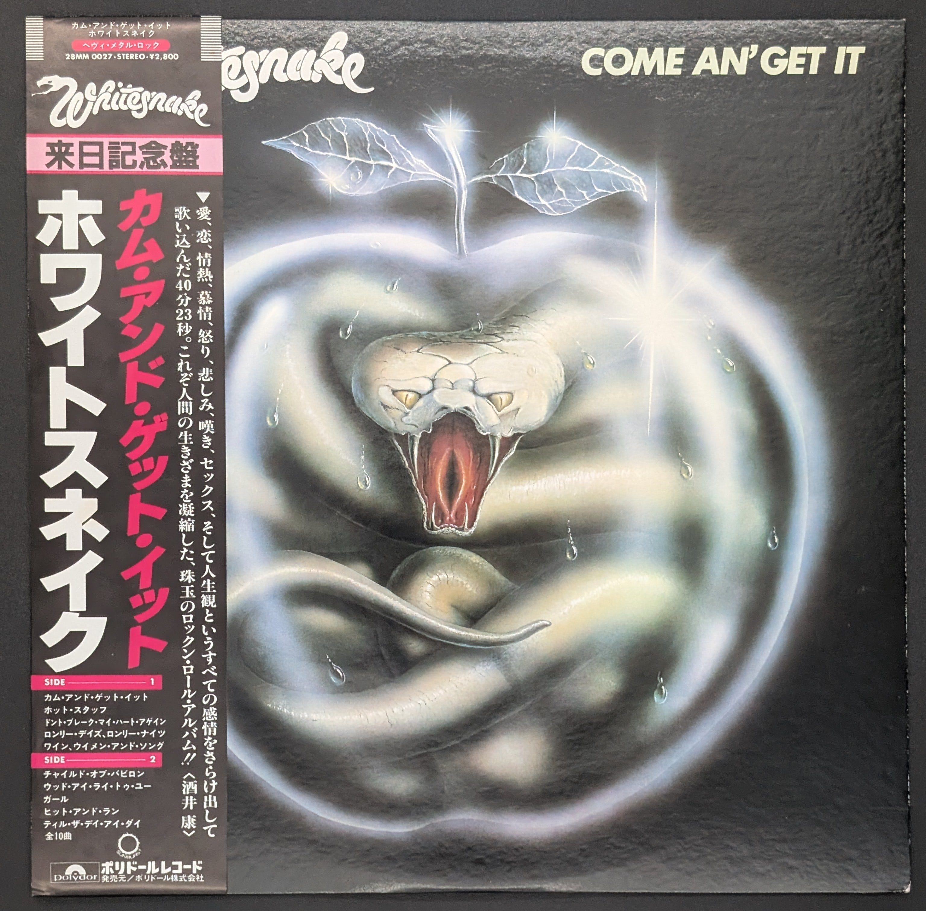 Whitesnake - Come An' Get It