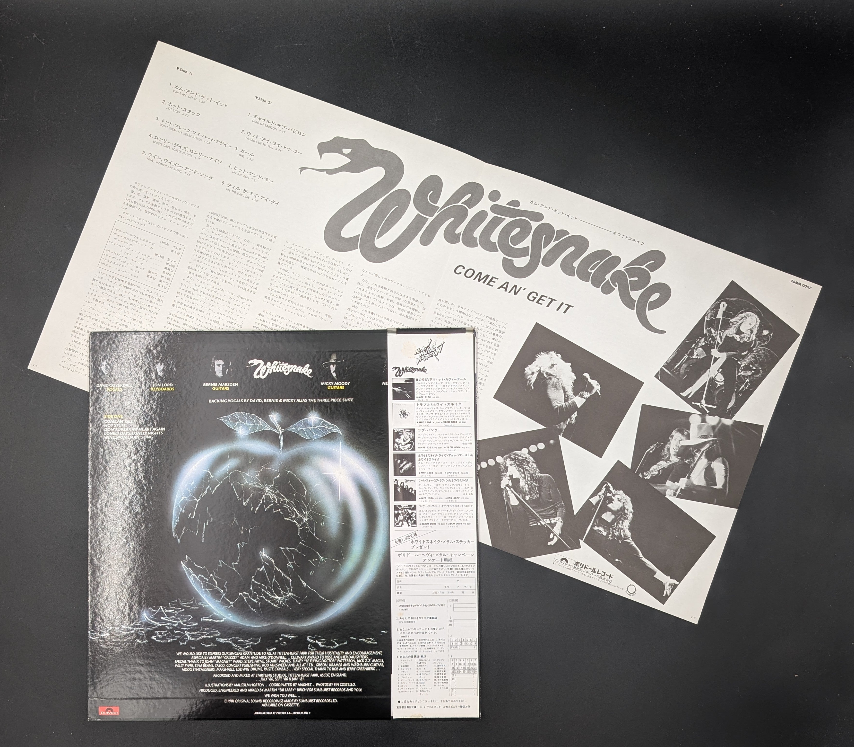 Whitesnake - Come An' Get It