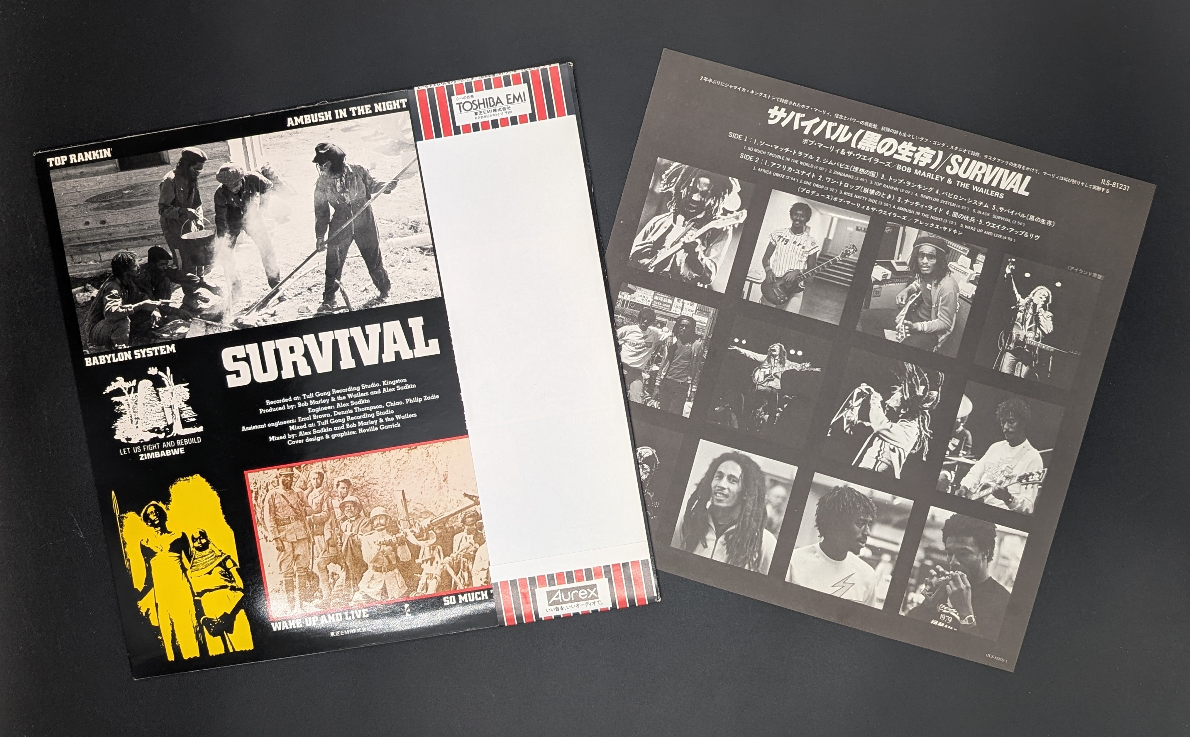Bob Marley & The Wailers - Survival