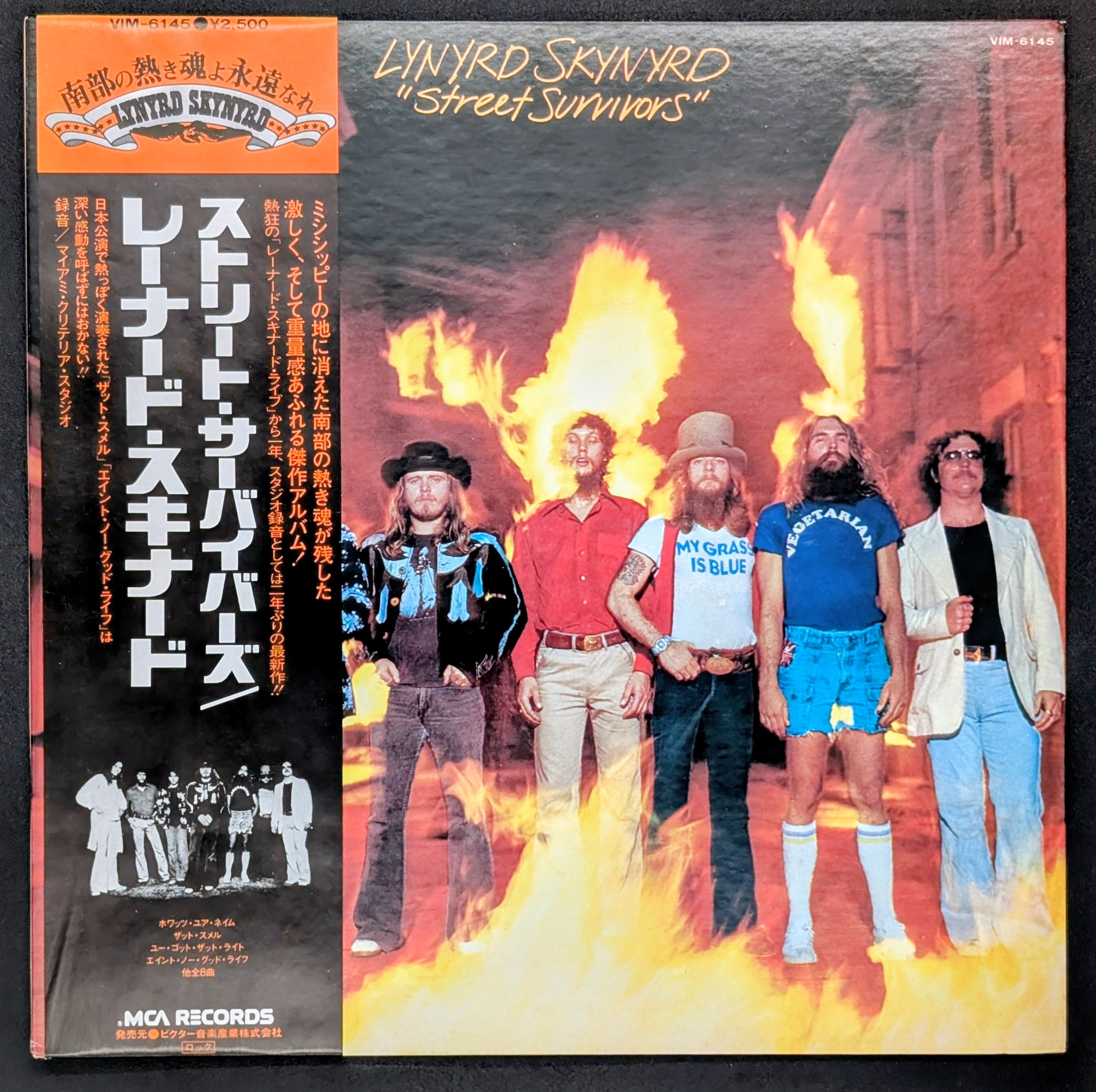 Lynyrd Skynyrd - Street Survivors