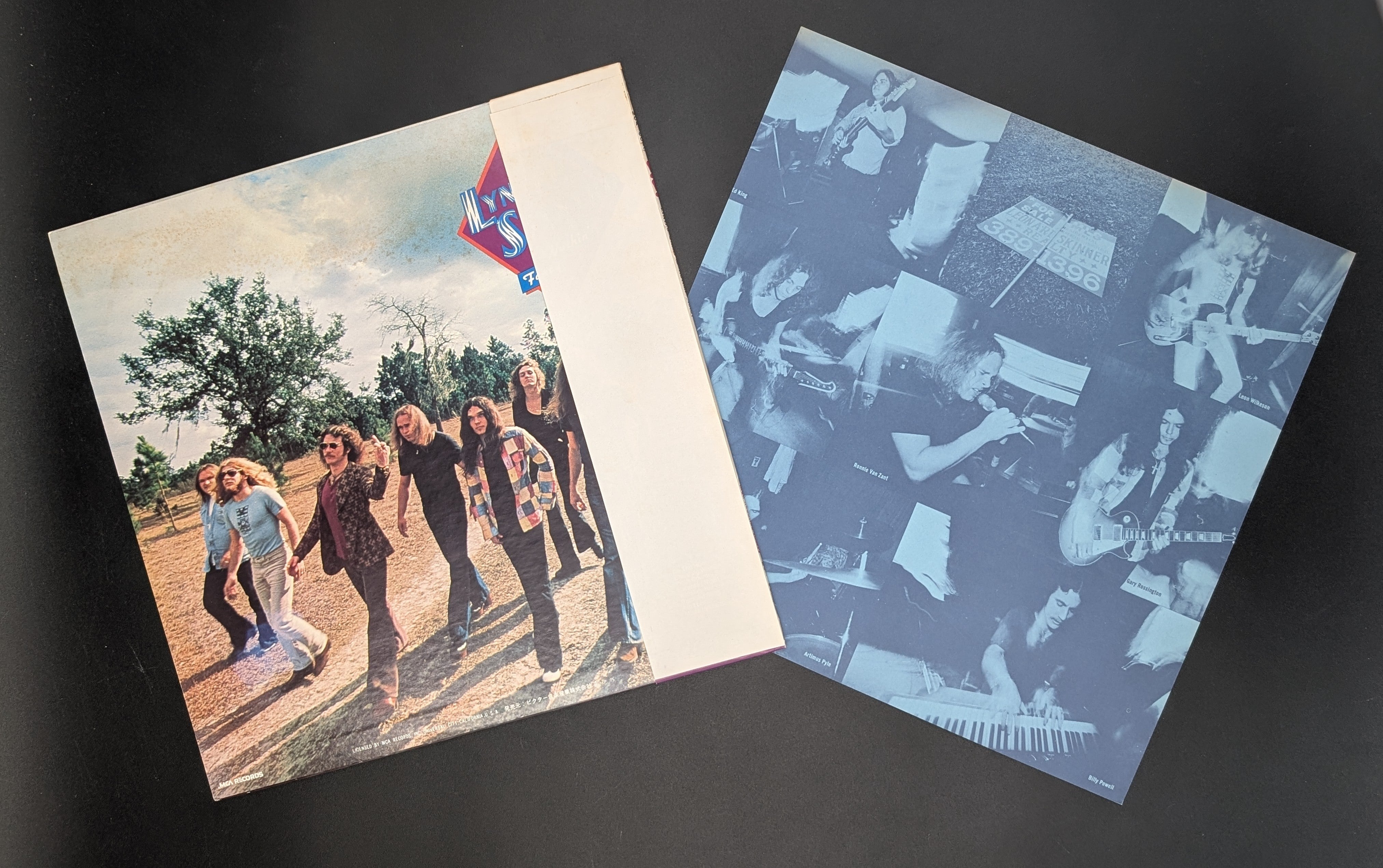 Lynyrd Skynyrd - Nuthin' Fancy