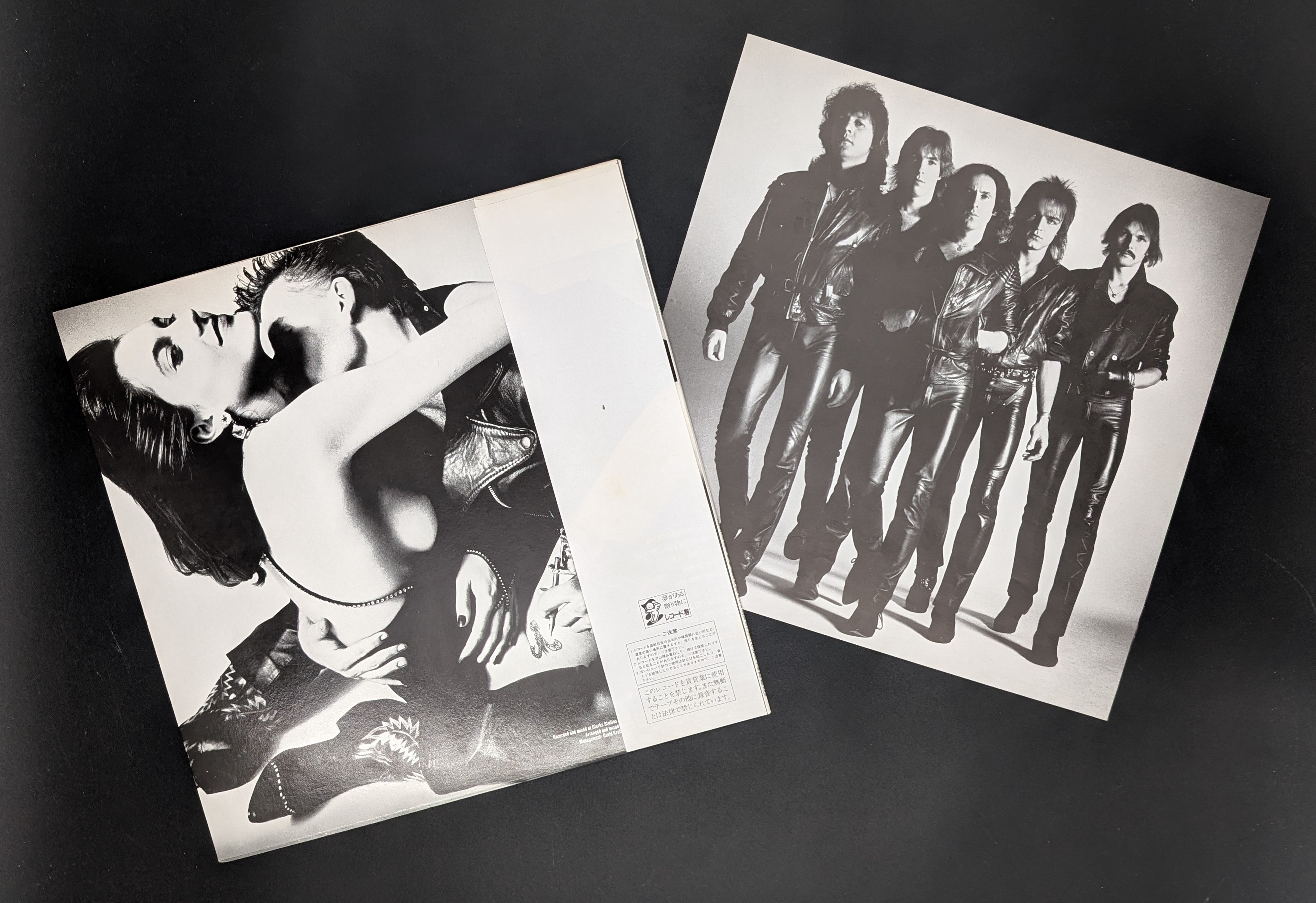 Scorpions - Love At First Sting  禁断の刺青 *