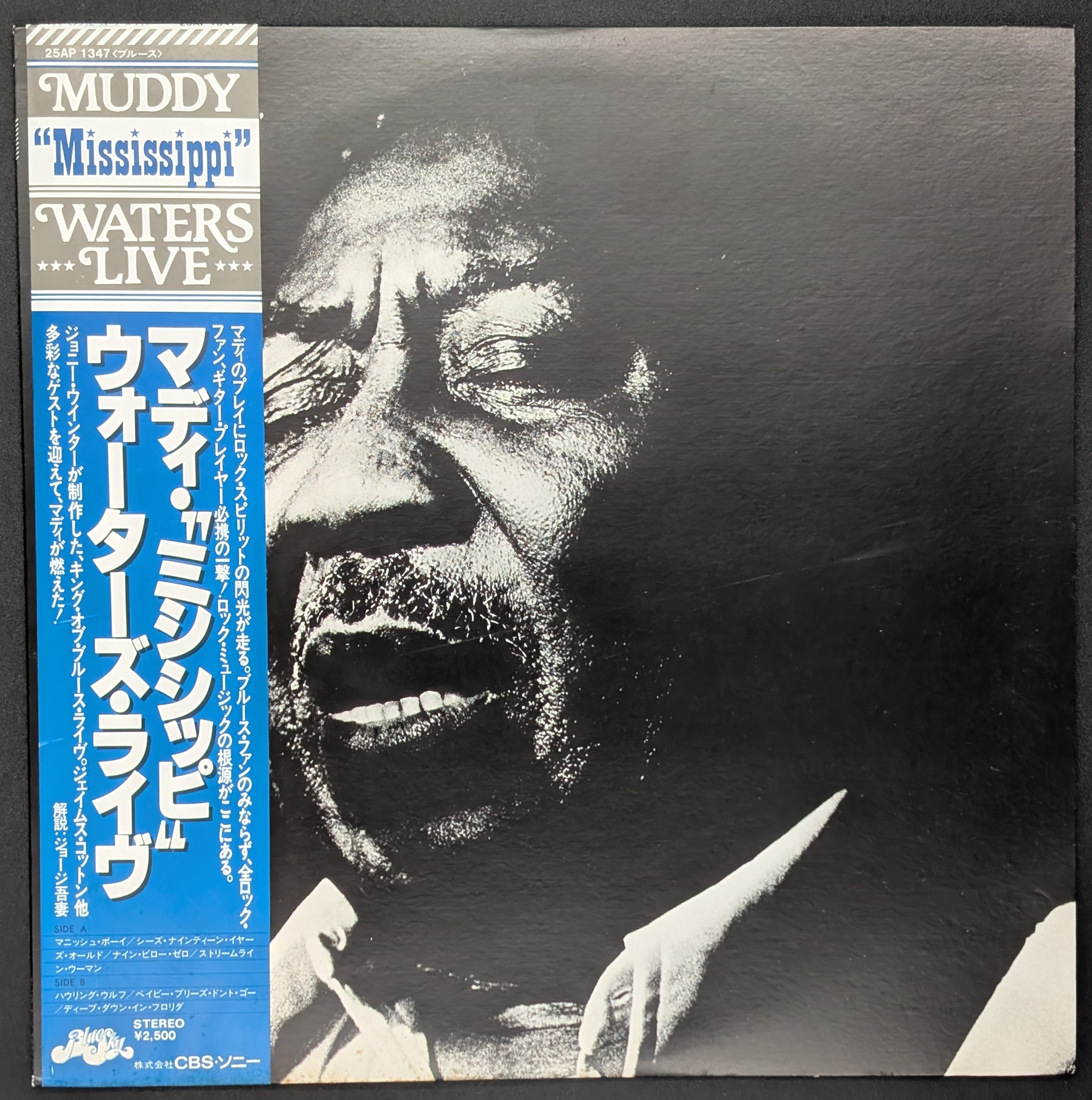 Muddy Waters - Muddy "Mississippi" Waters Live