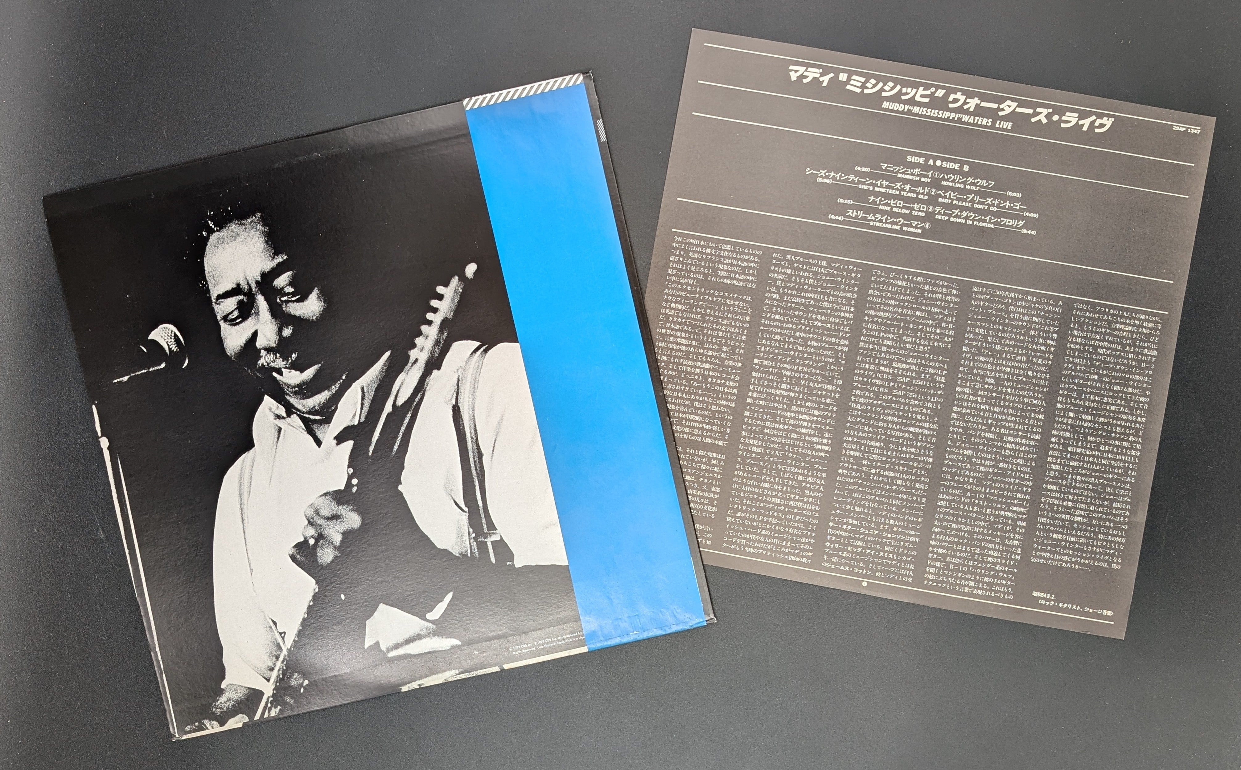 Muddy Waters - Muddy "Mississippi" Waters Live
