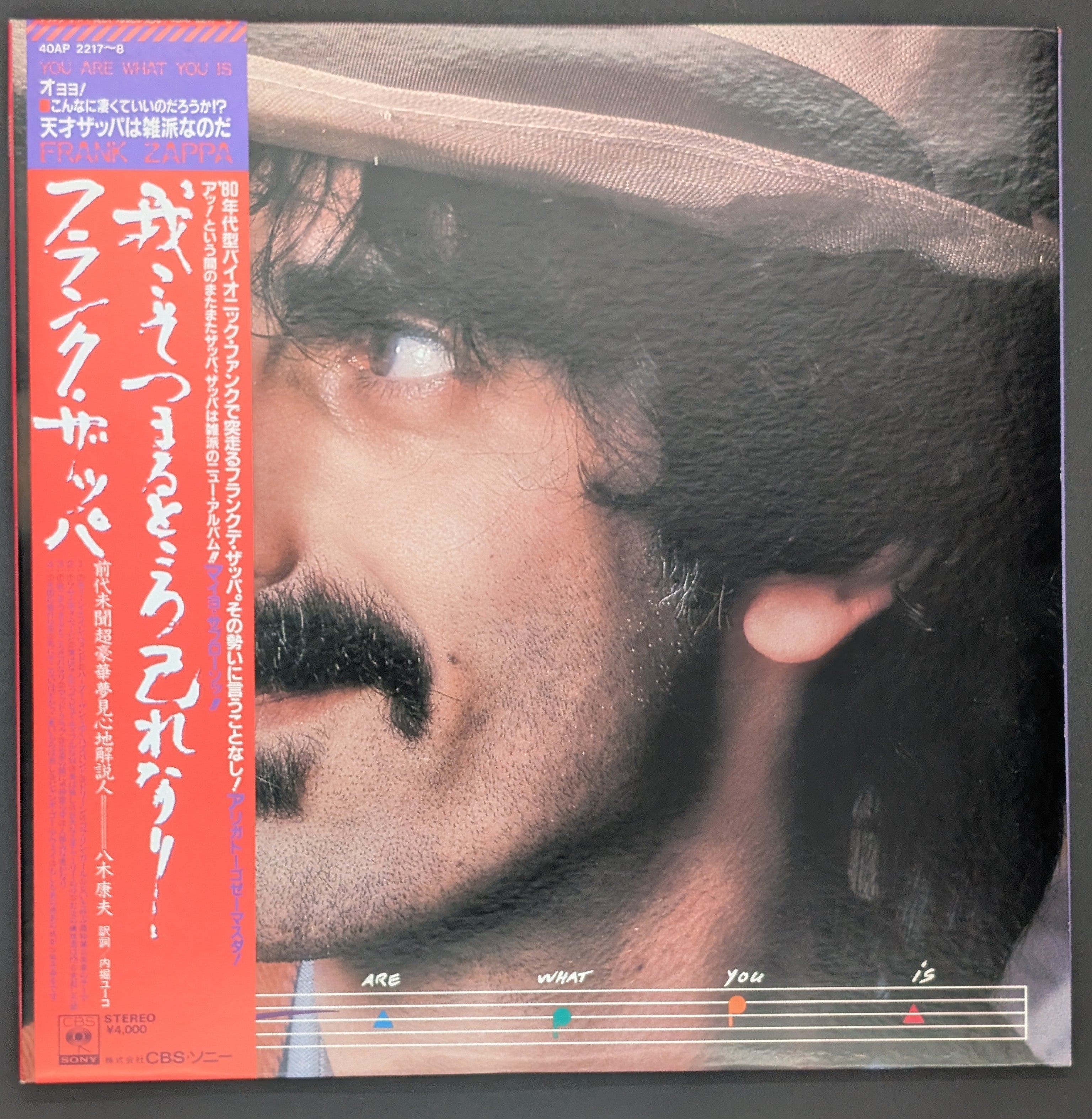 Frank Zappa - You Are What You Is