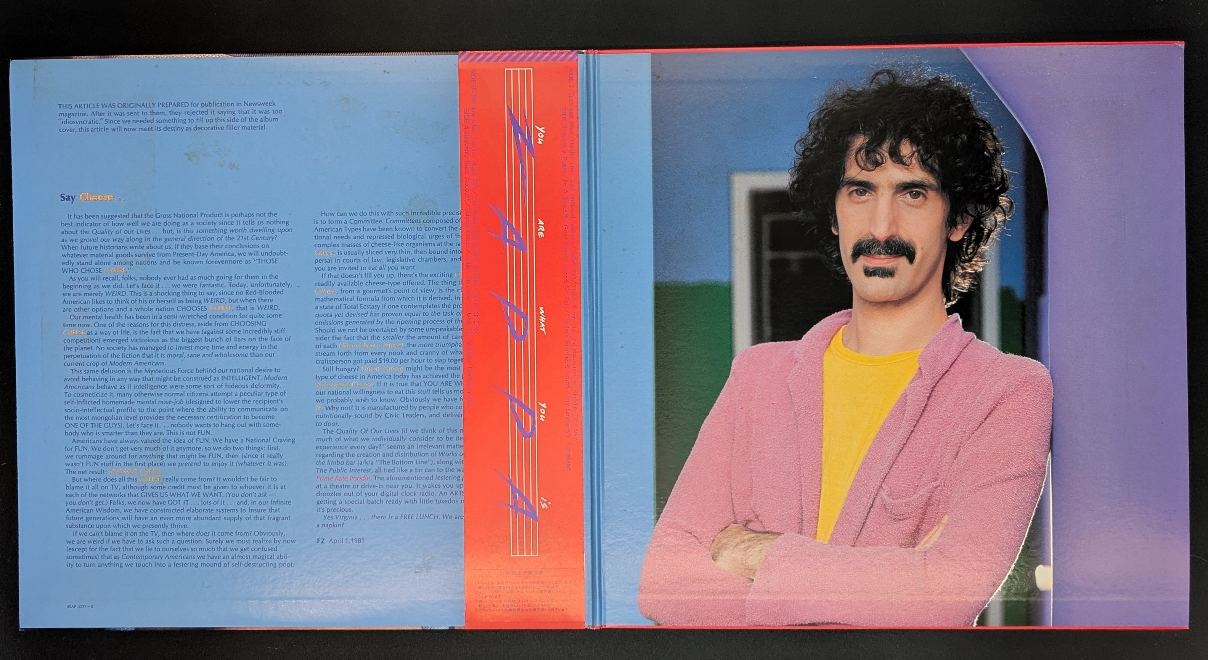Frank Zappa - You Are What You Is