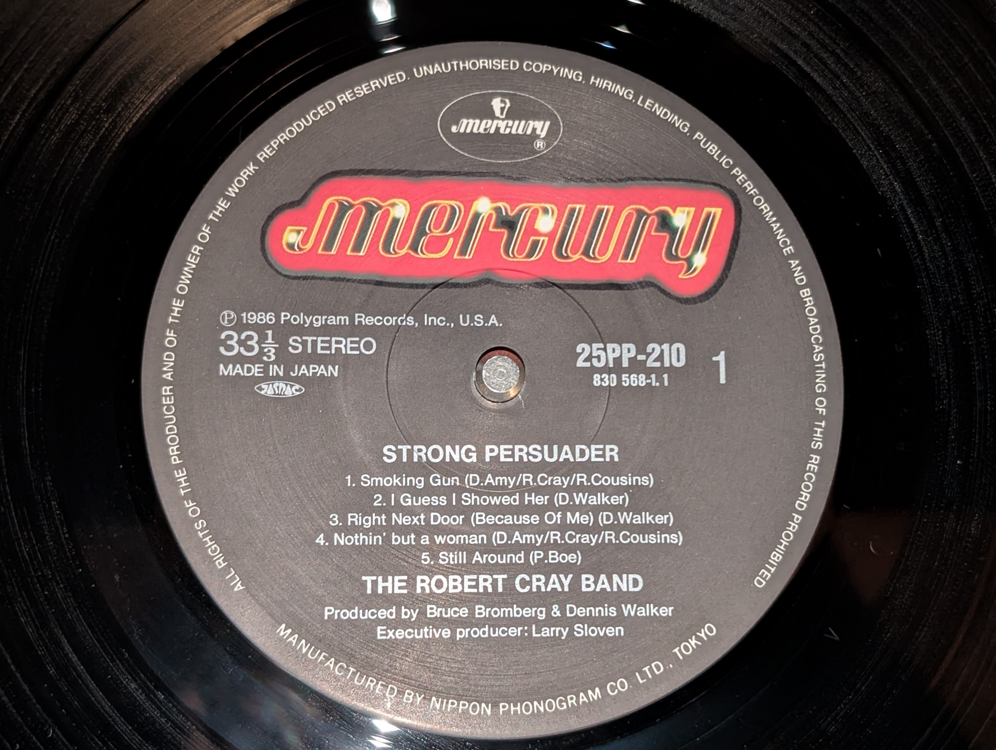 Robert Cray - Strong Persuader