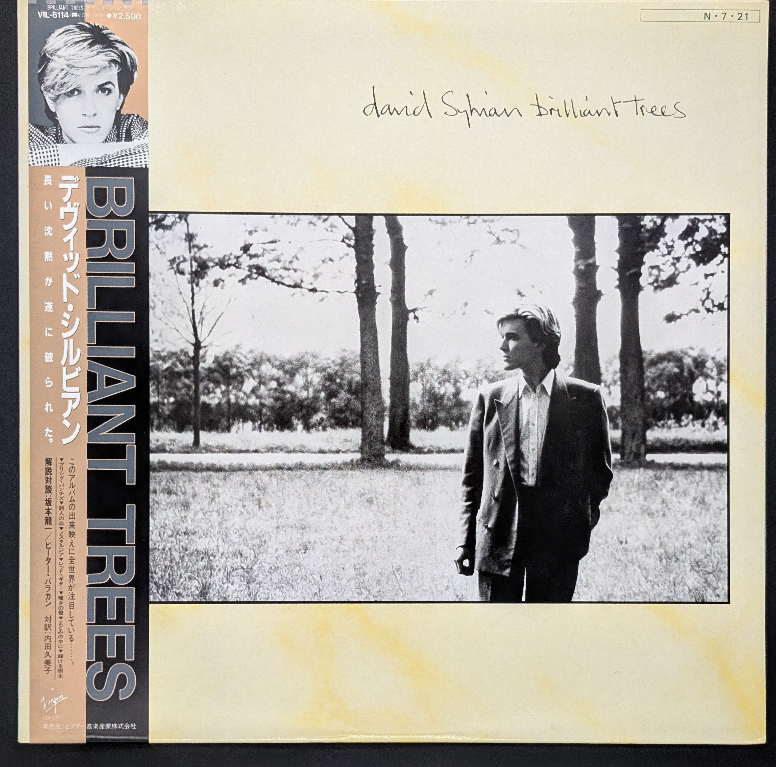 David Sylvian - Brilliant Trees