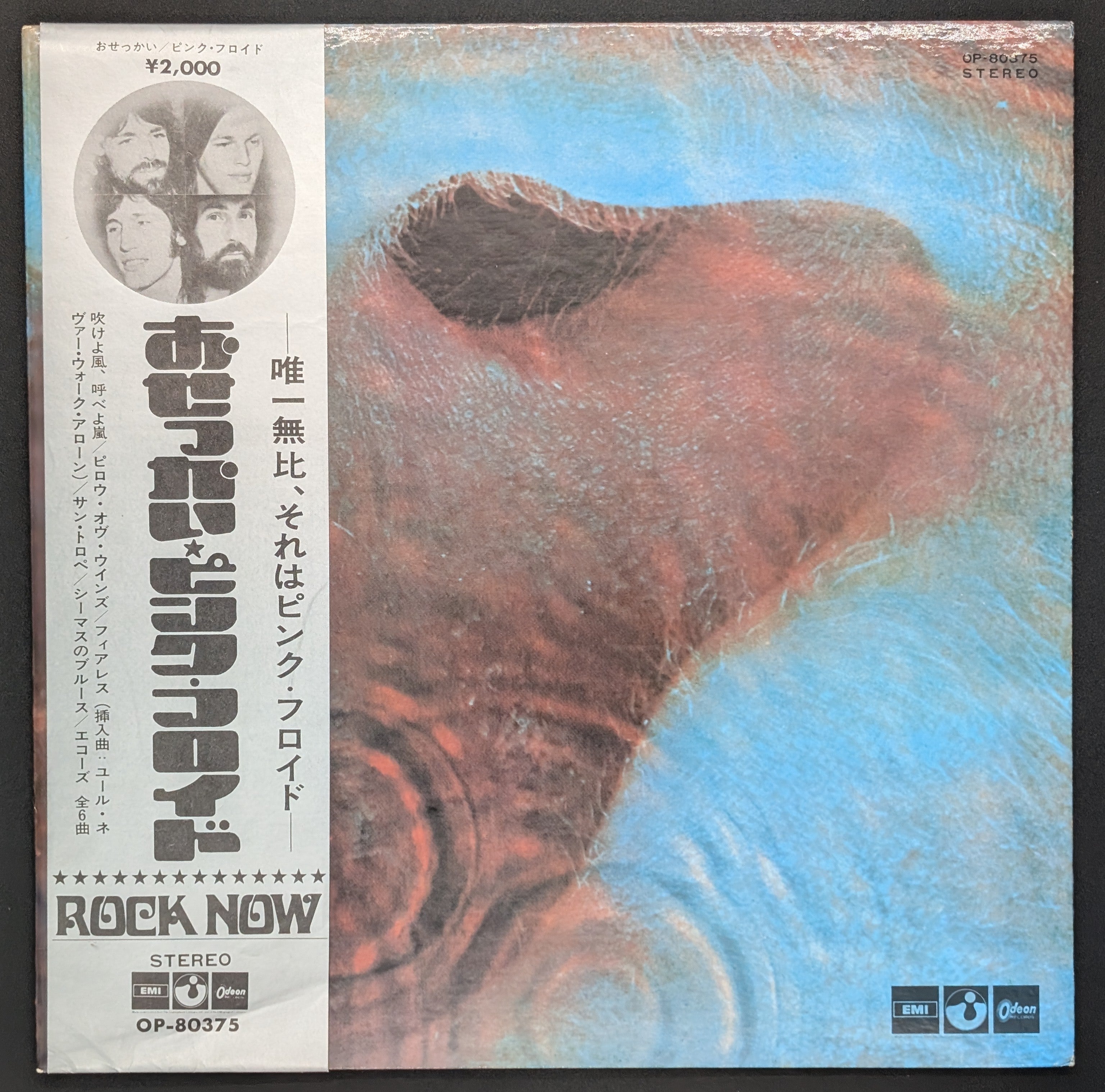 Pink Floyd - Meddle