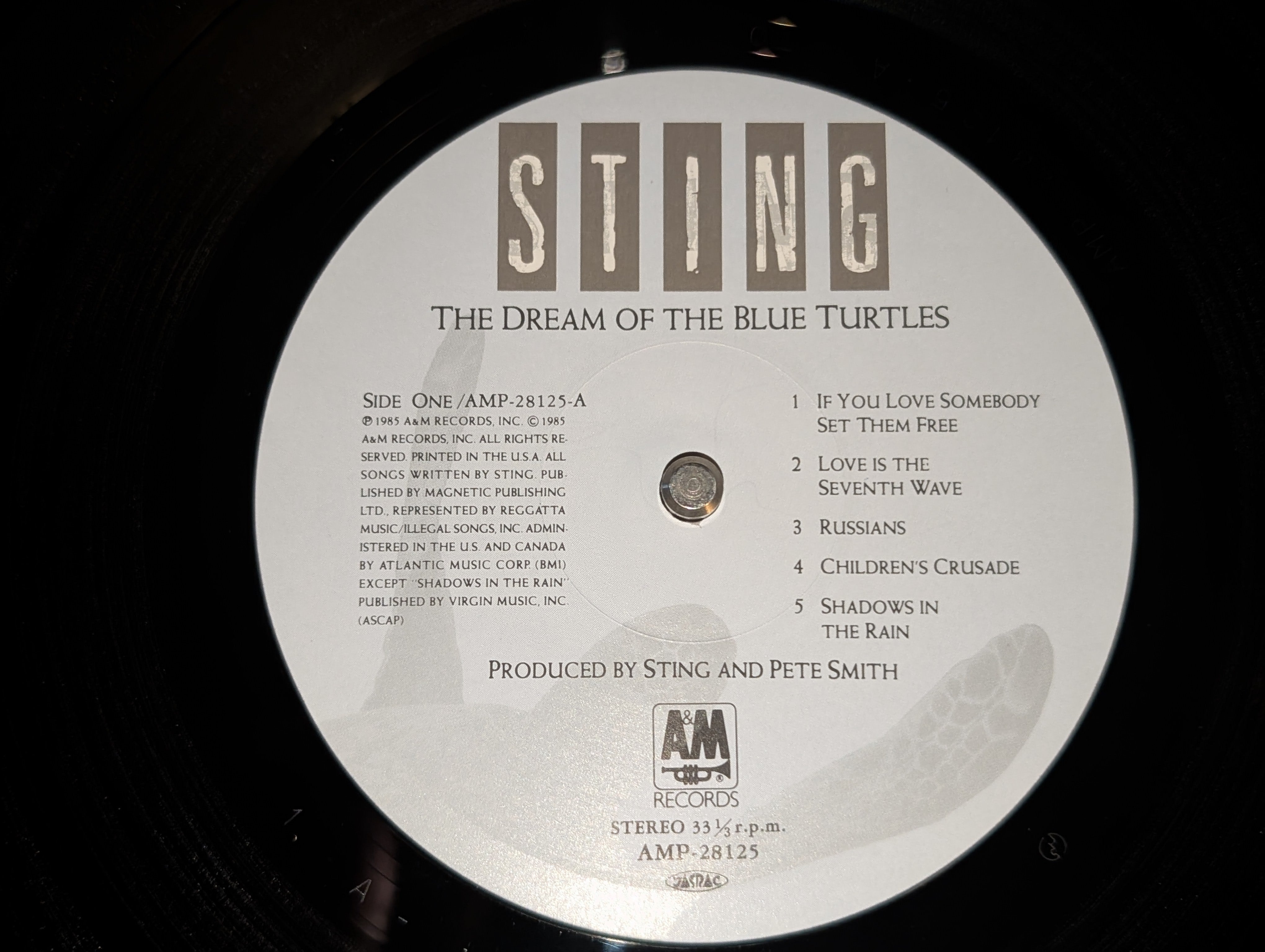 Sting -The Dream Of The Blue Turtles *