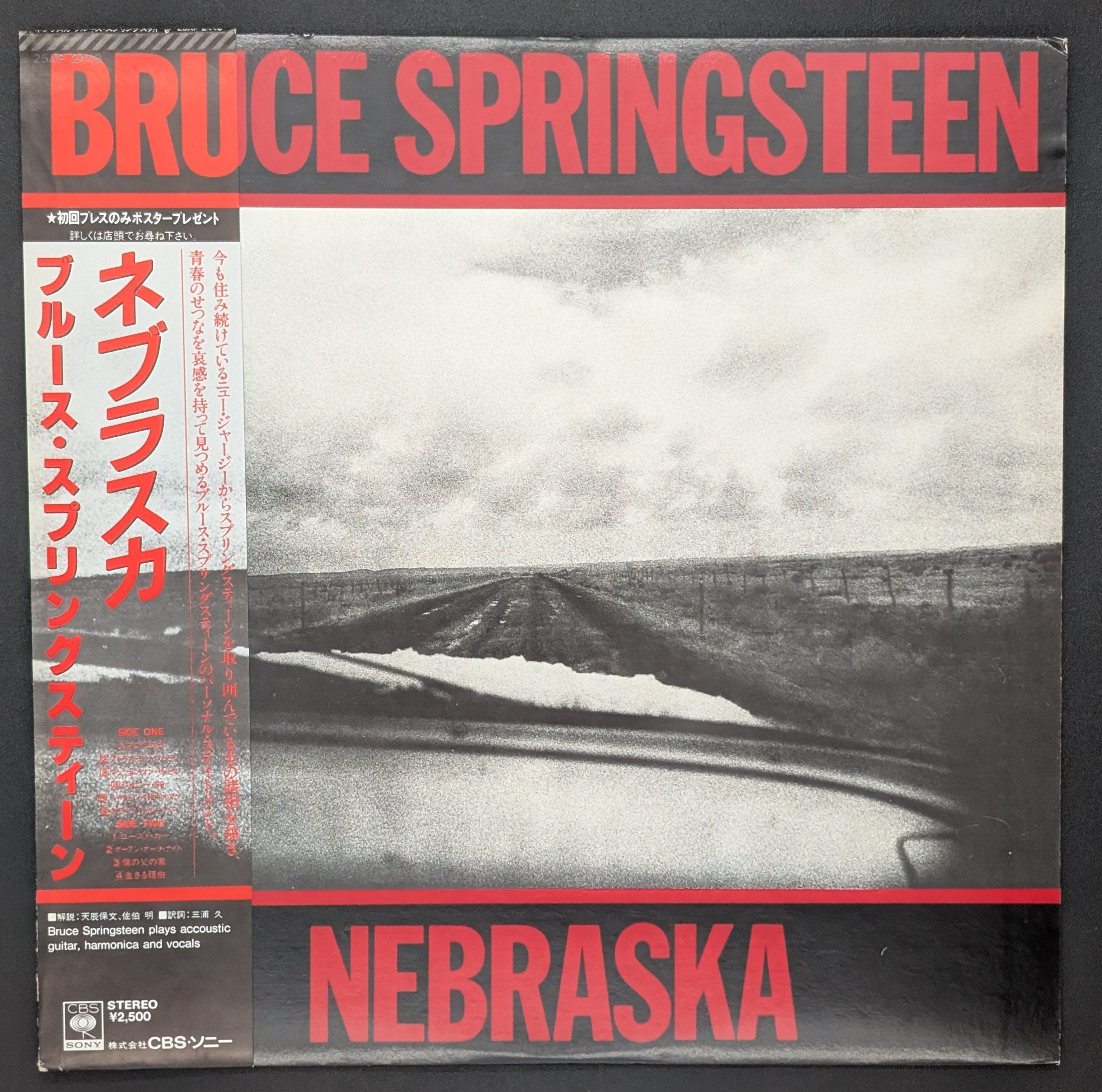 Bruce Springsteen - Nebraska  ネブラスカ