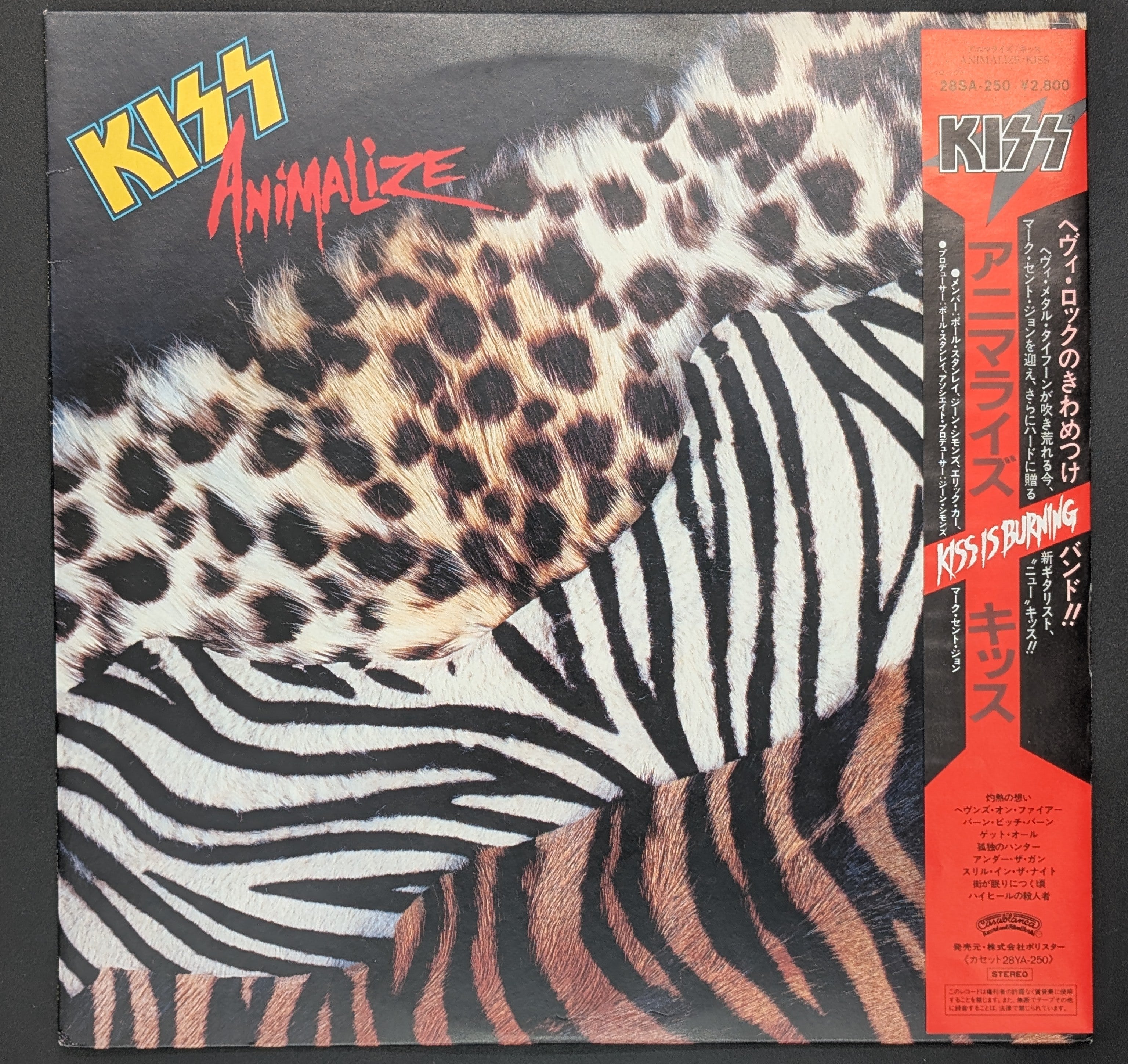 Kiss - Animalize