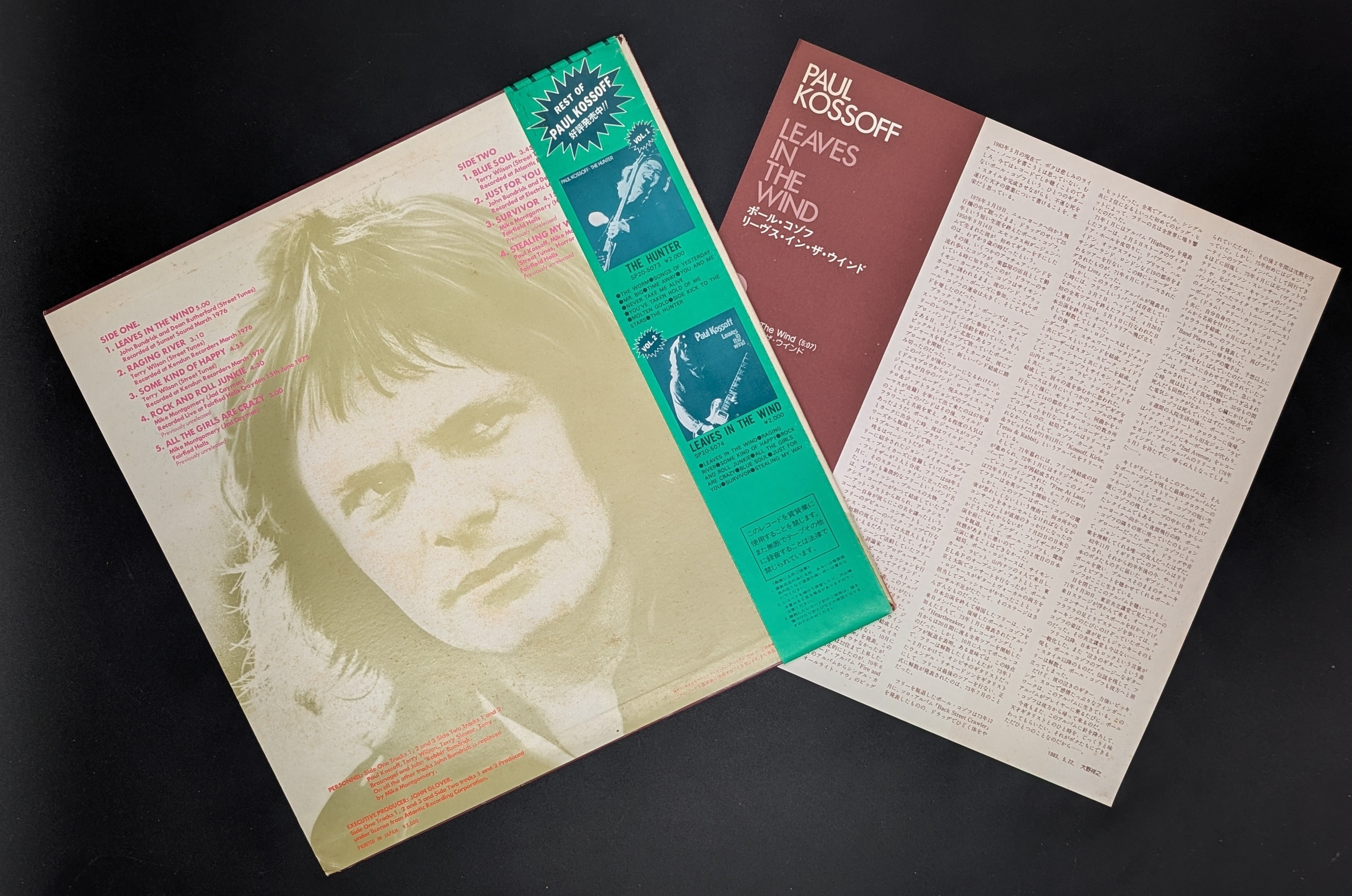 Paul Kossoff - Leaves  In The Wind