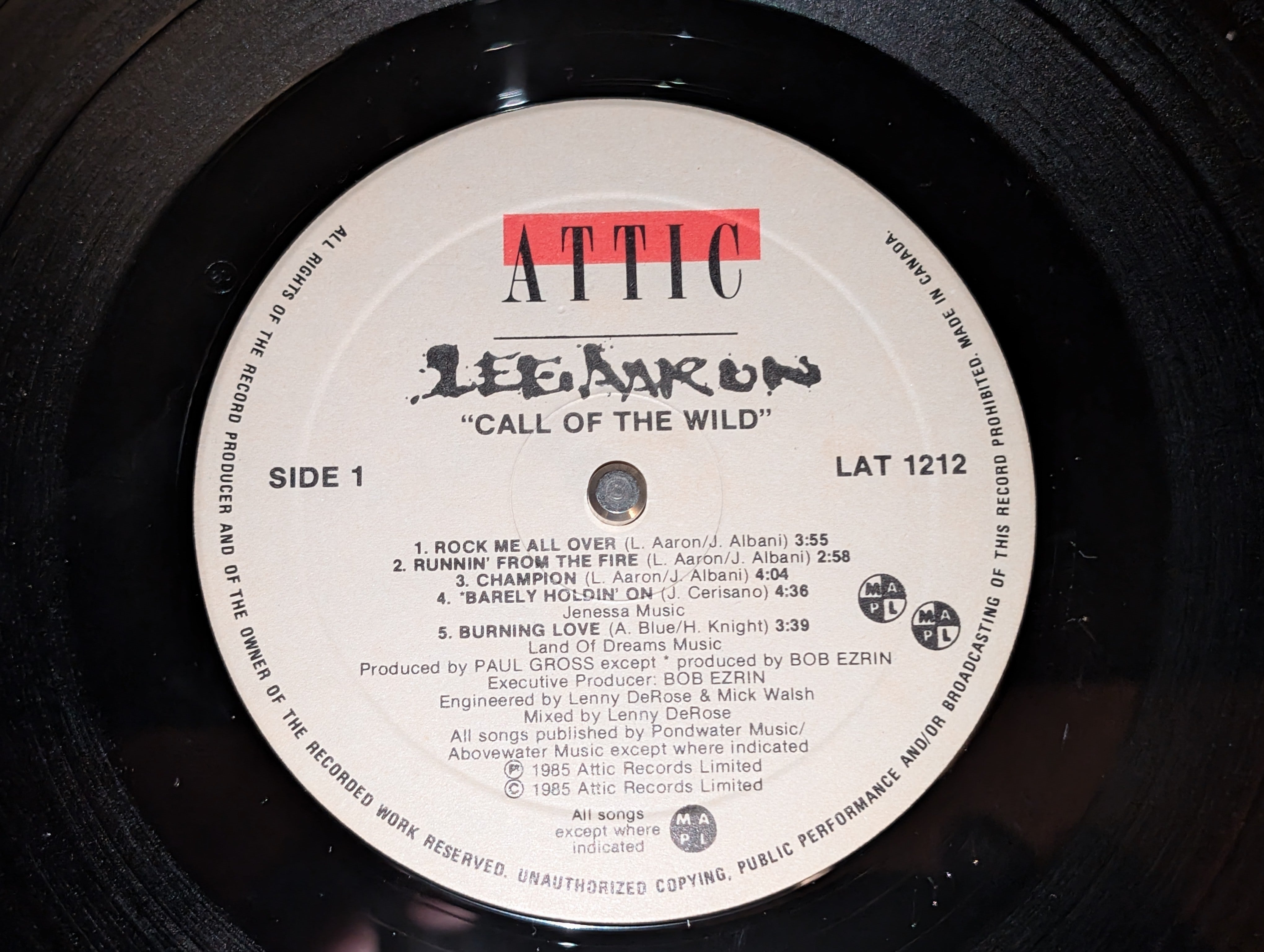 Lee Aaron - Call Of The Wild