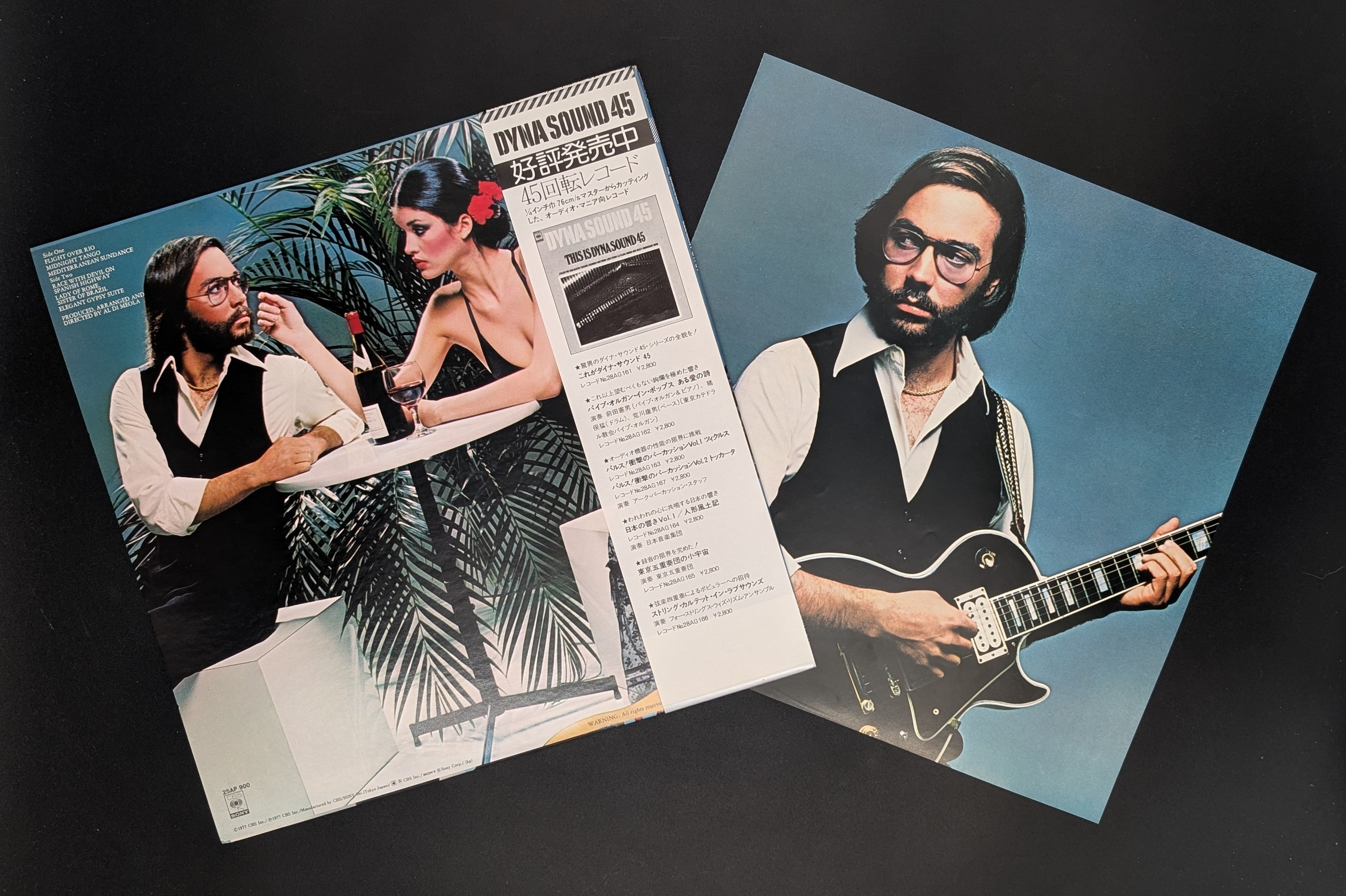 Al Di Meola - Elegant Gypsy