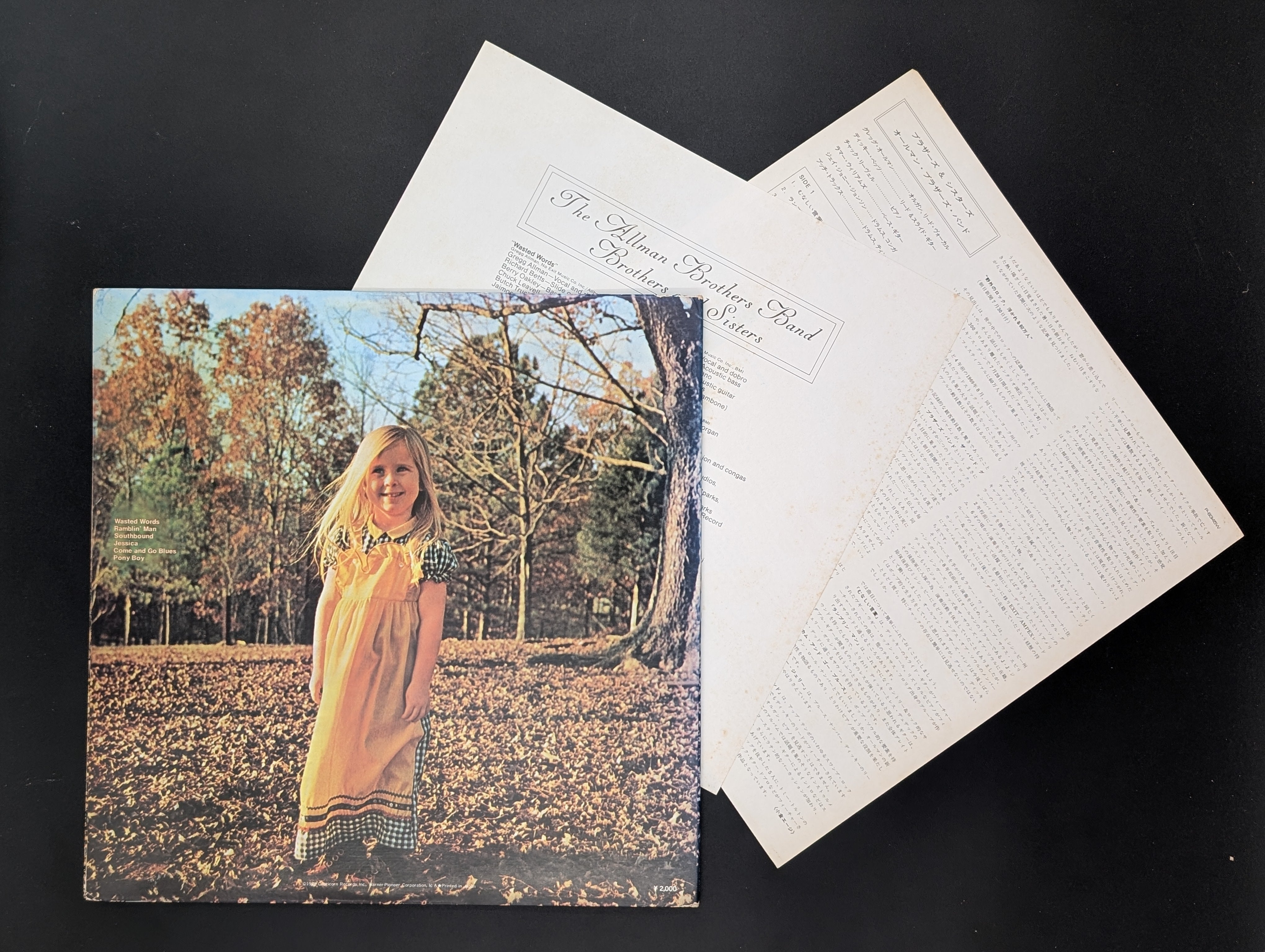The Allman Brothers Band - Brothers And Sisters