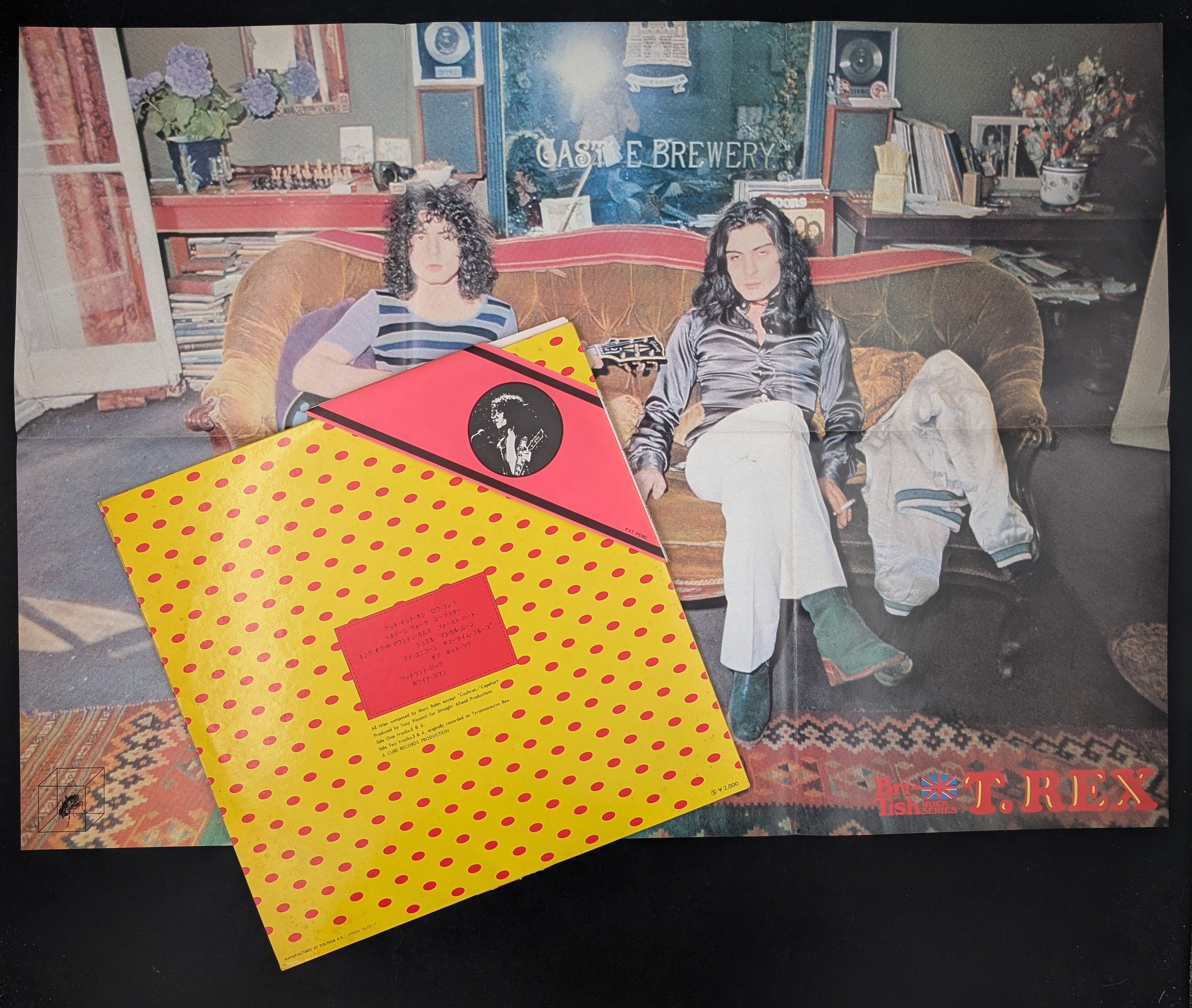 T. Rex - Bolan Boogie-Perfect