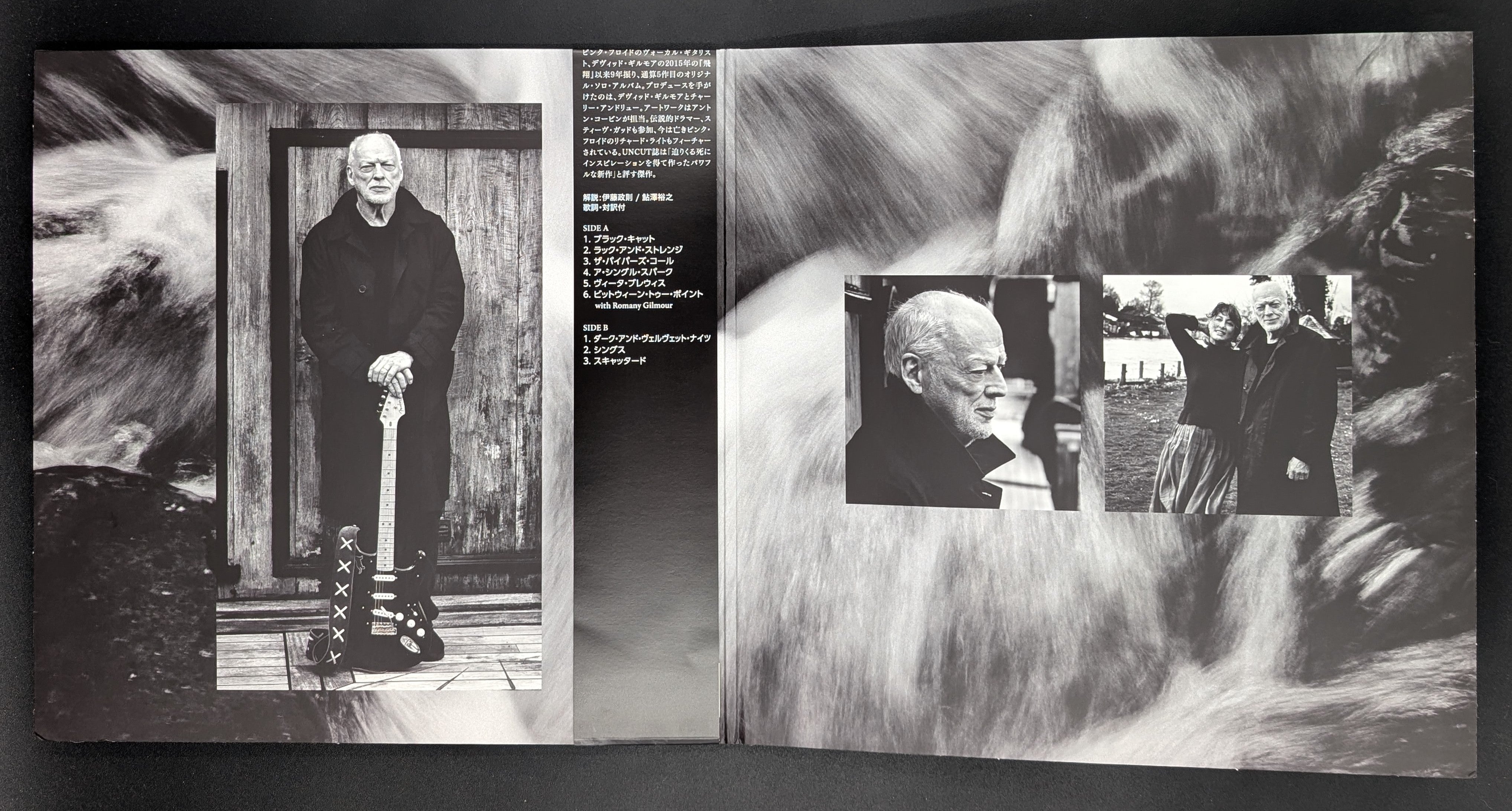 David Gilmour - Luck And Strange