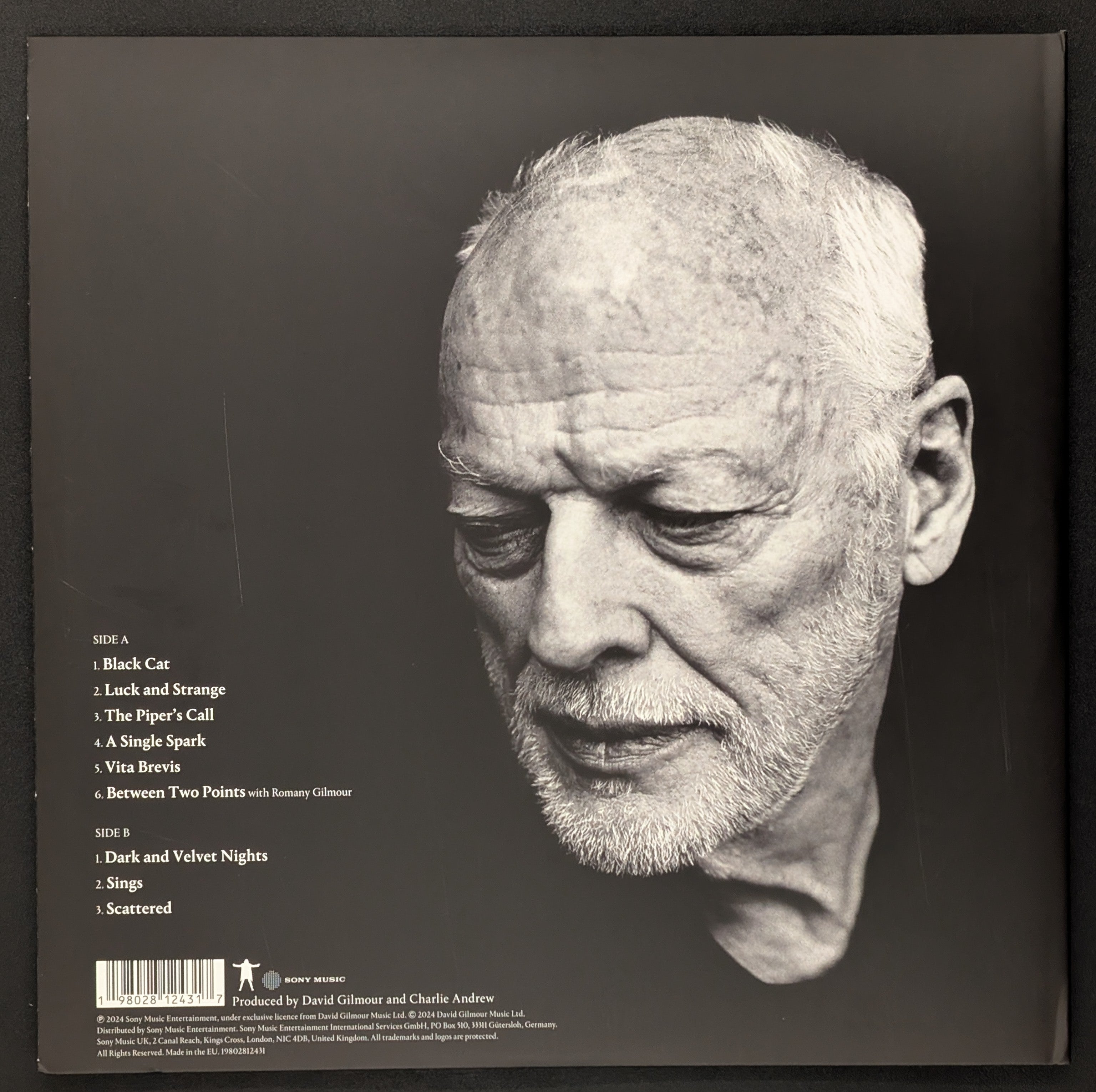 David Gilmour - Luck And Strange
