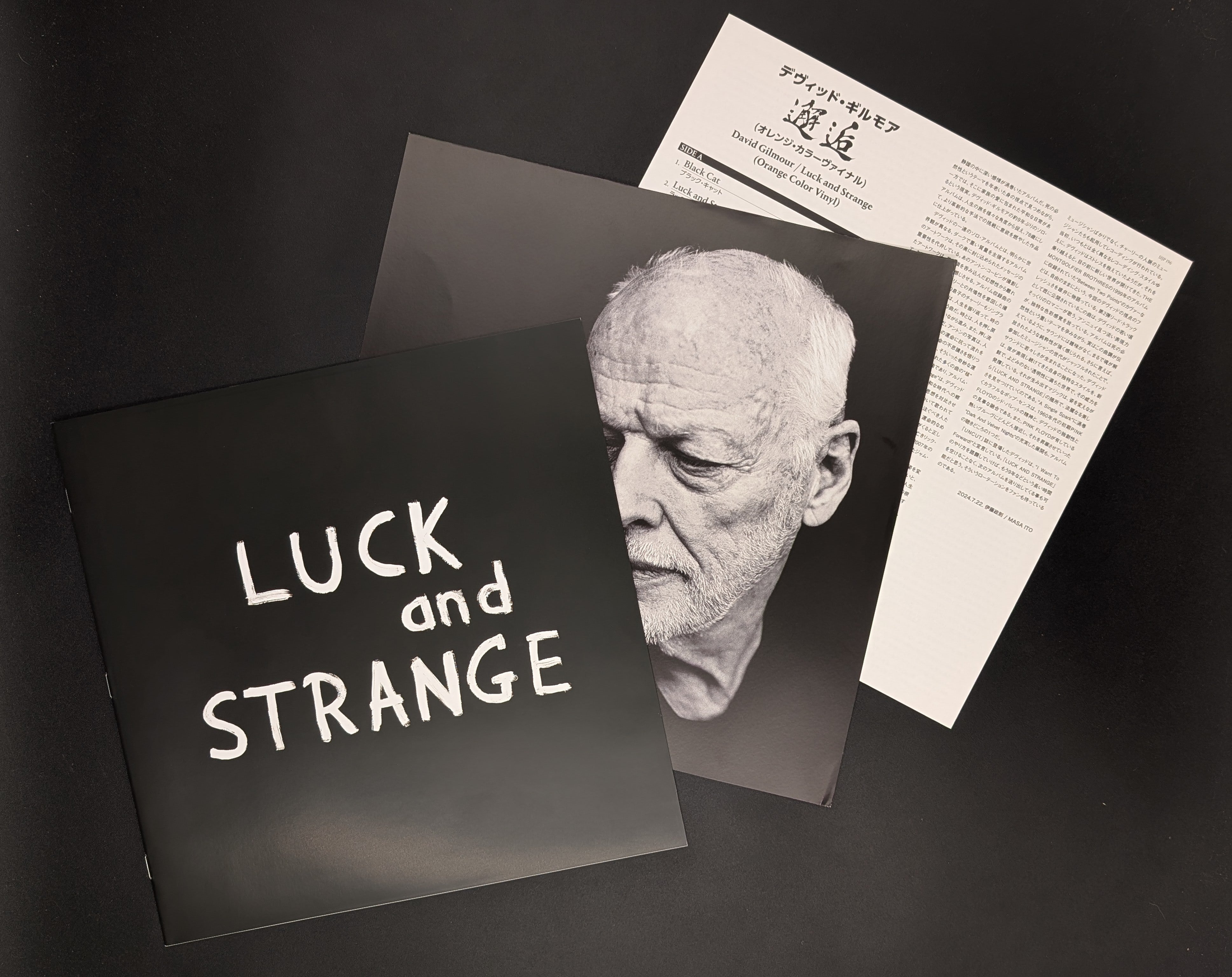 David Gilmour - Luck And Strange