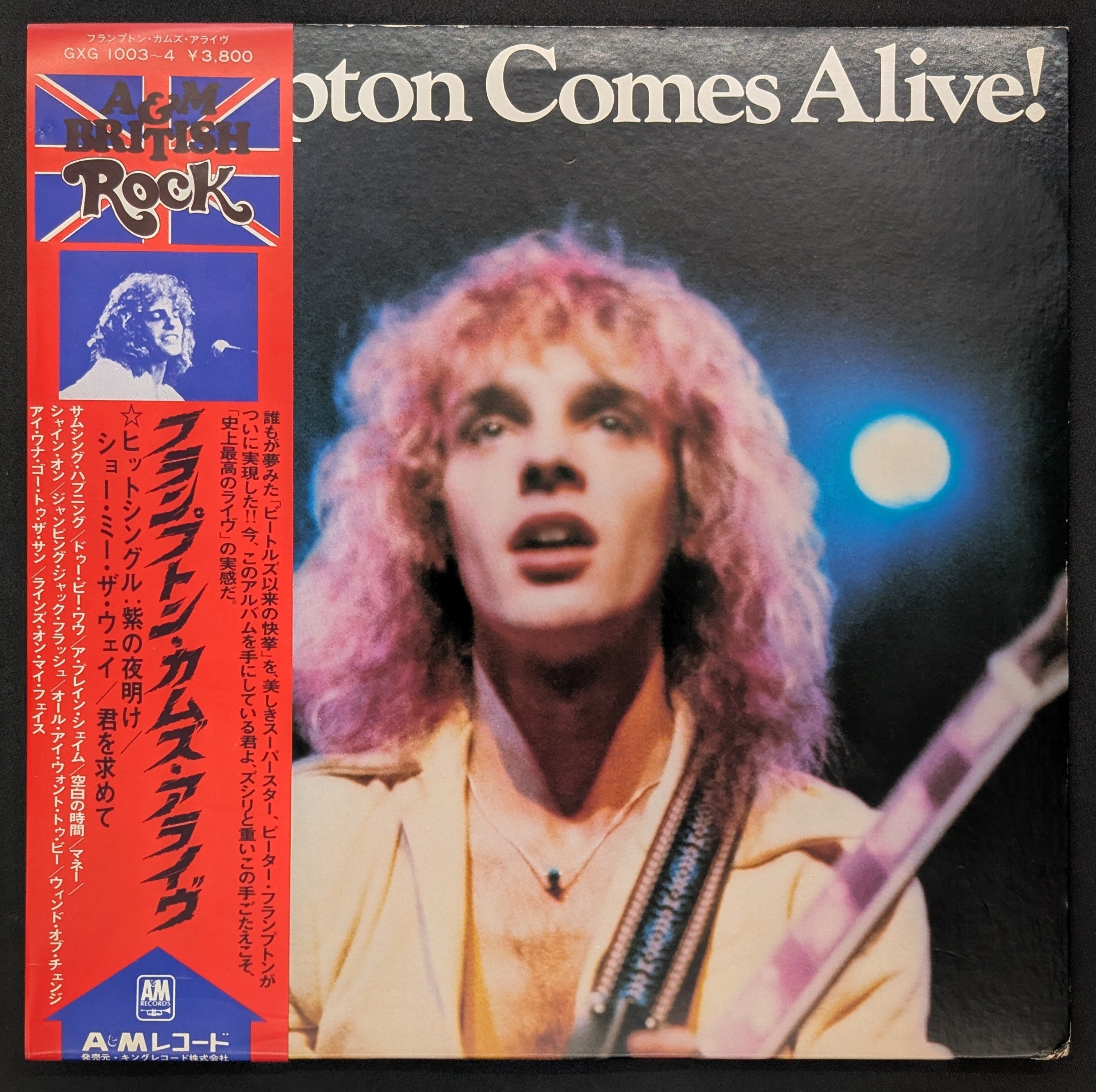 Peter Frampton - Frampton Comes Alive!