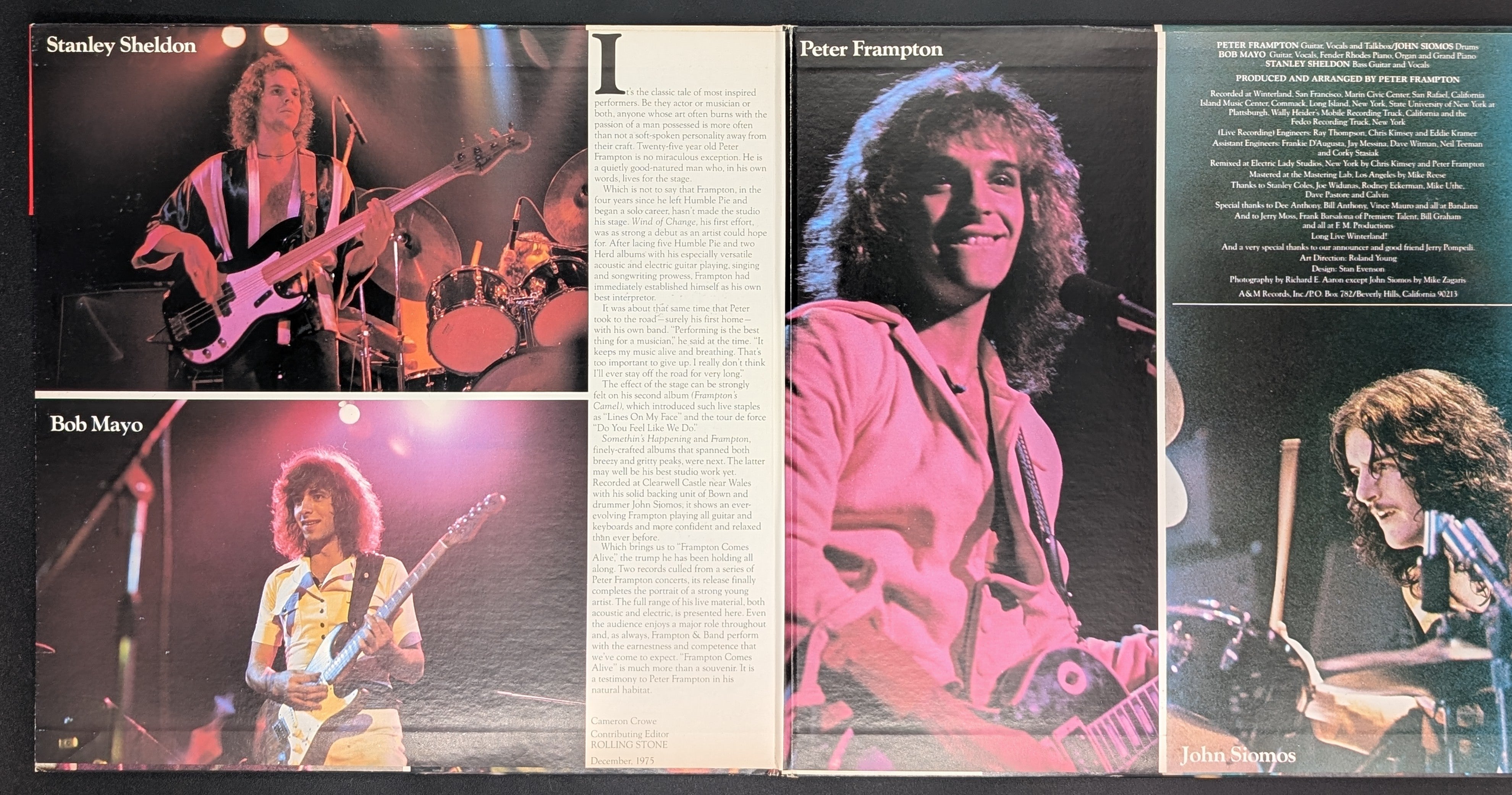 Peter Frampton - Frampton Comes Alive!