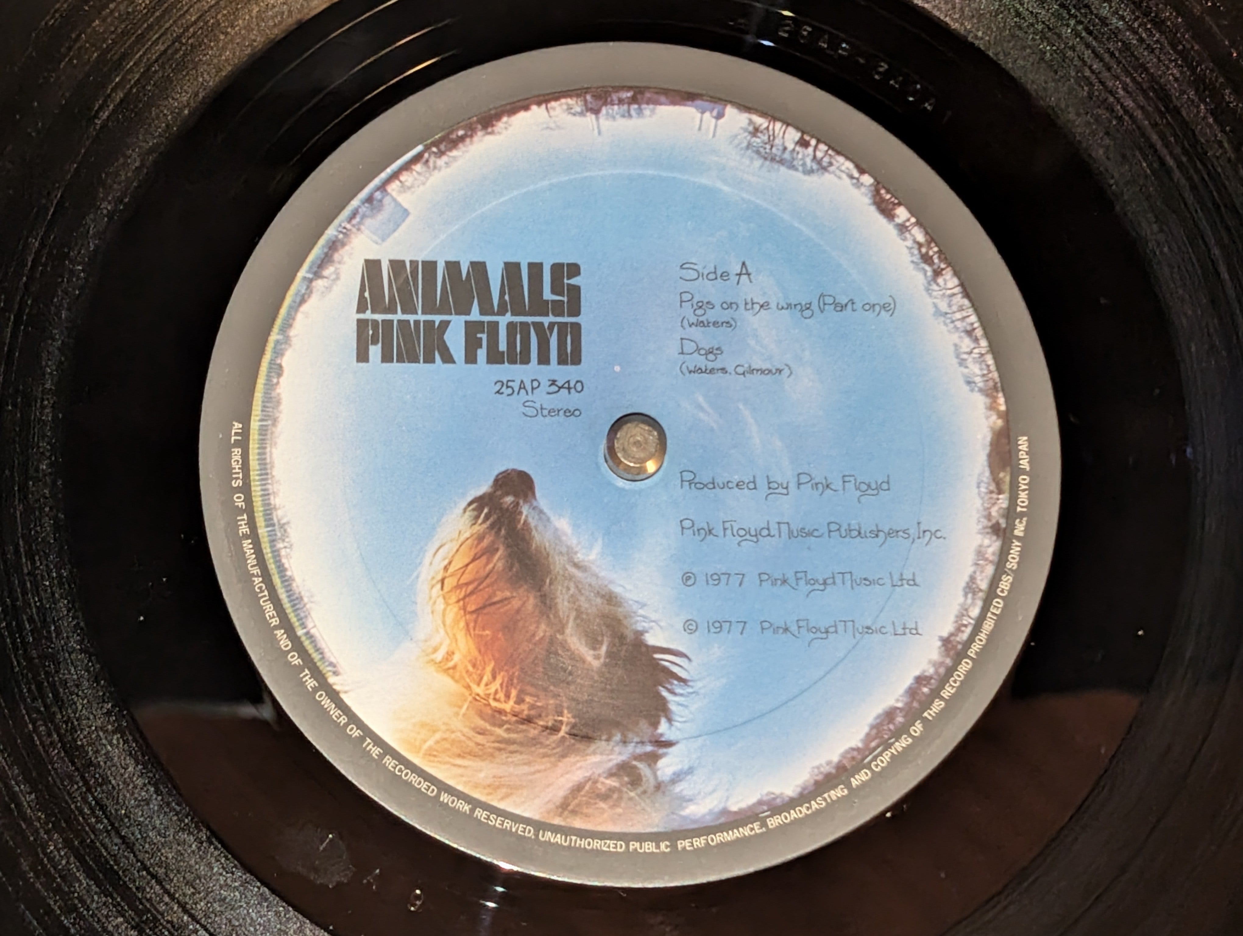 Pink Floyd - Animals  アニマルズ *