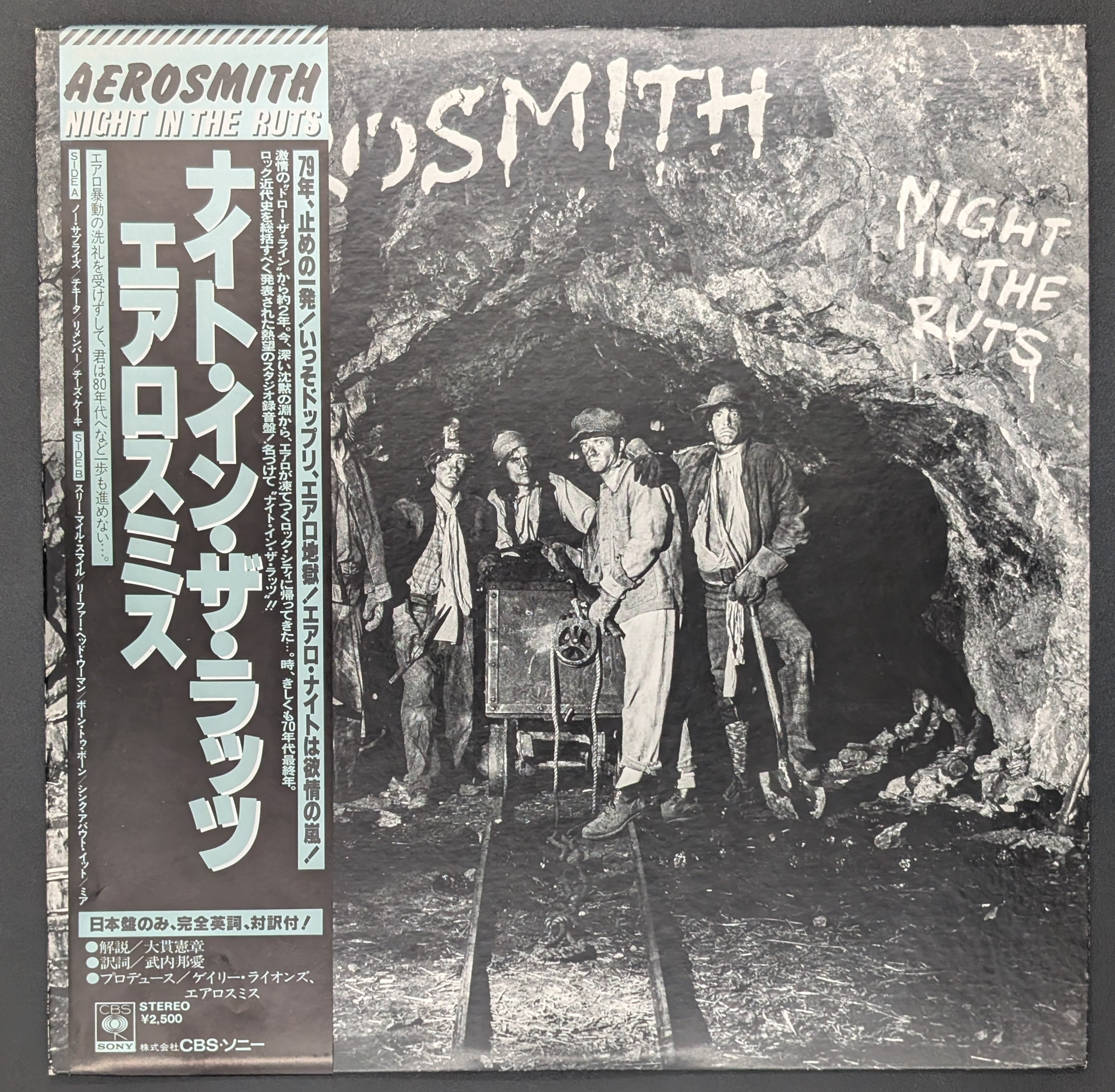 Aerosmith - Night In The Ruts