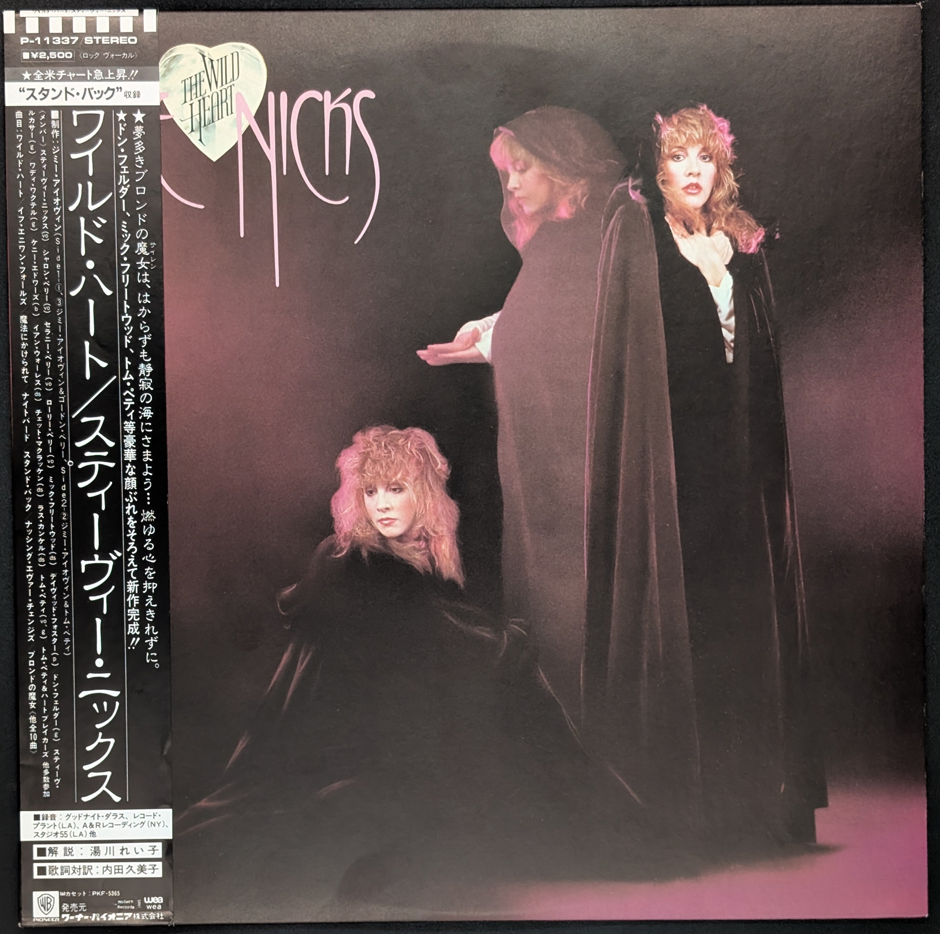 Stevie Nicks - The Wild Heart *