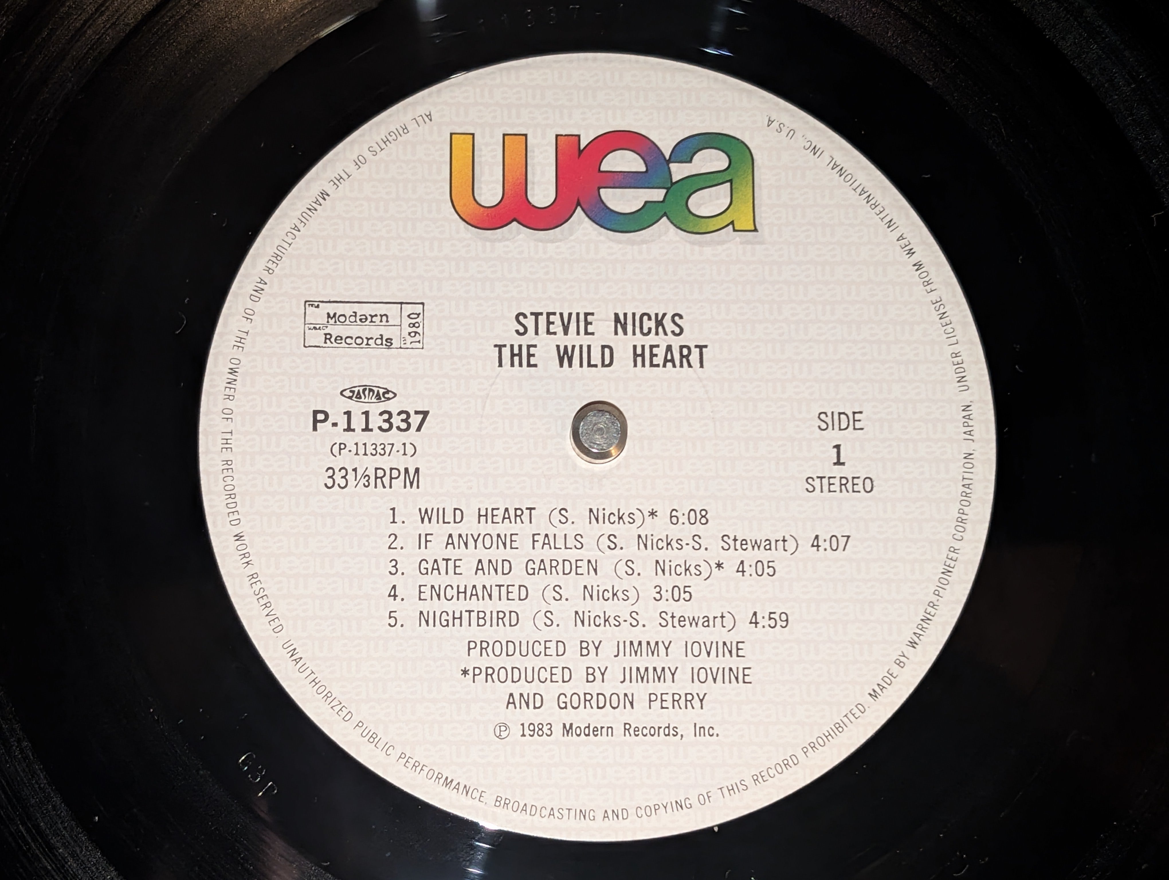 Stevie Nicks - The Wild Heart *